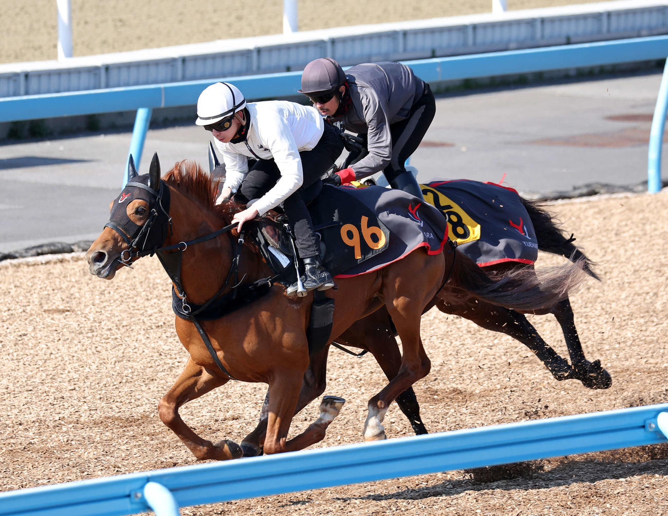 横山和騎手を背に、美浦ウッドで併せて追い切るアレグロブリランテ（左）（撮影・鈴木正人）
