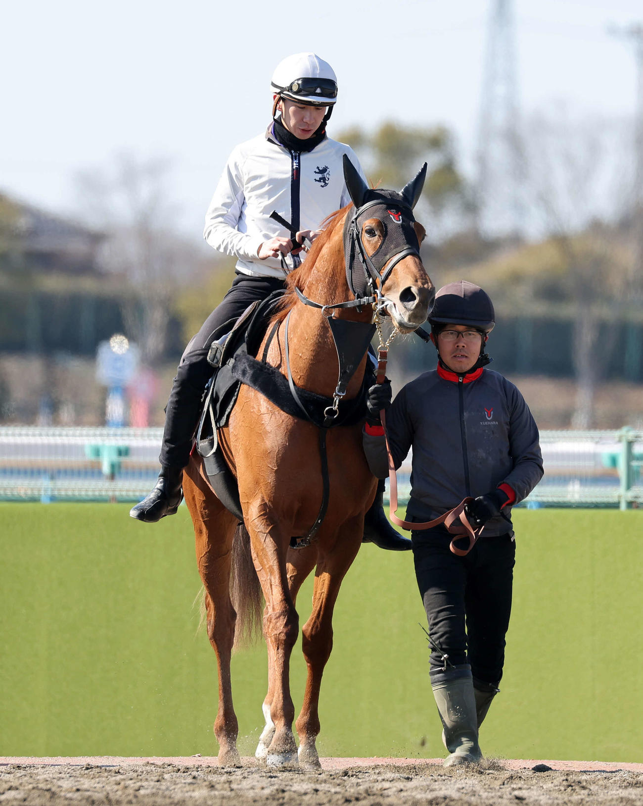 乗り運動するアレグロブリランテ（撮影・鈴木正人）