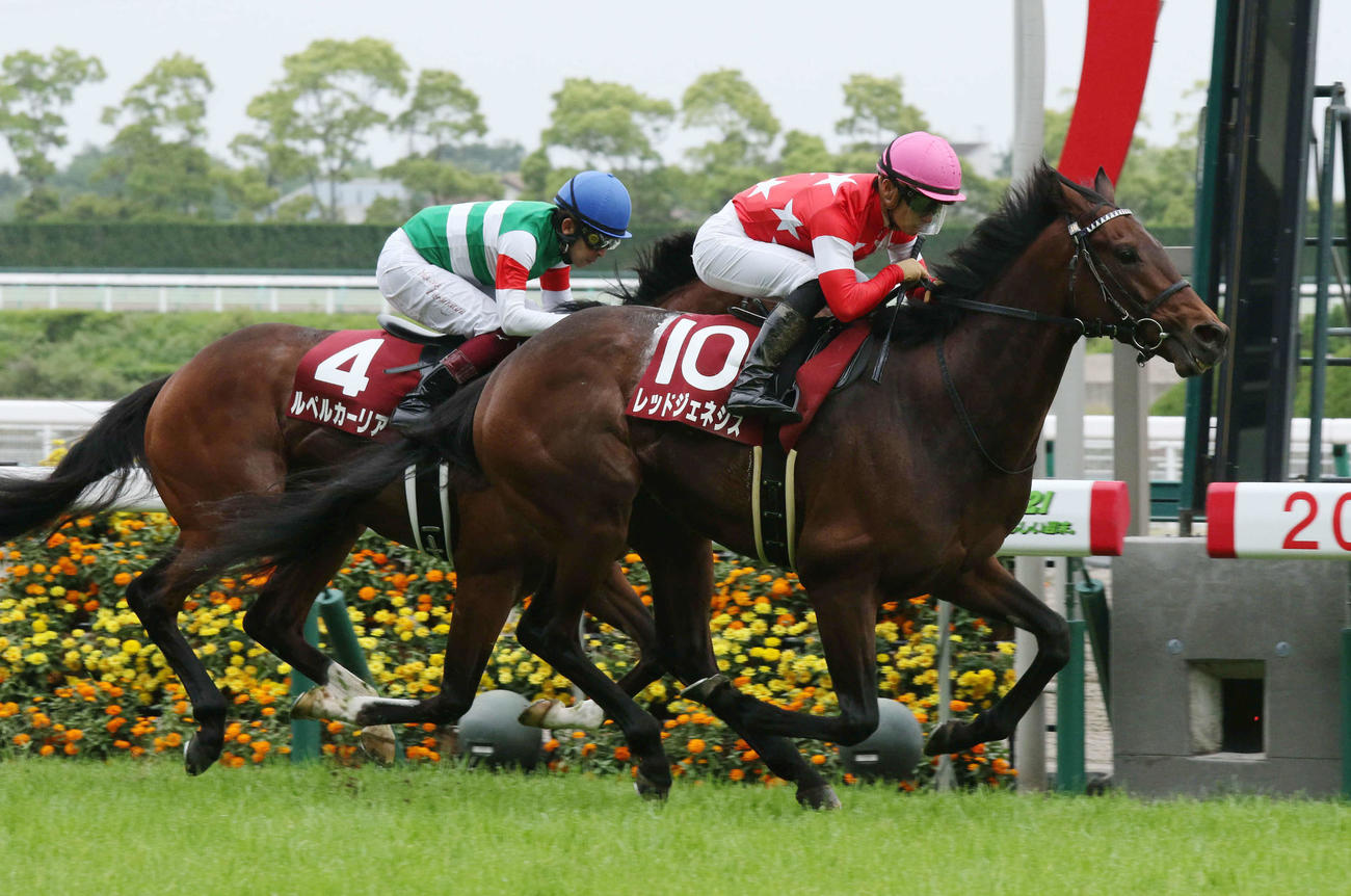 京都新聞杯を快勝したレッドジェネシス（2021年5月撮影）