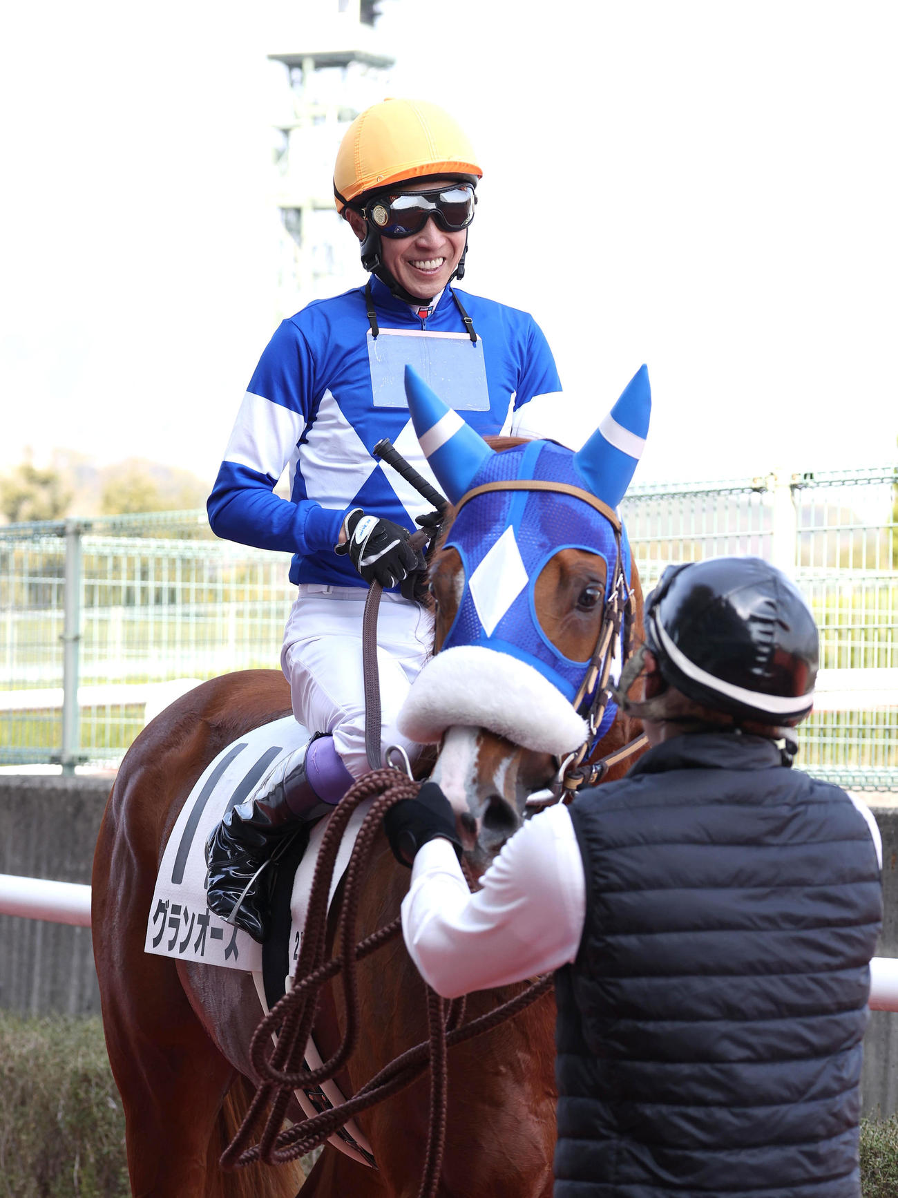 阪神2R、武豊騎手を背に3歳未勝利を勝ち上がったグランオース（撮影・白石智彦）