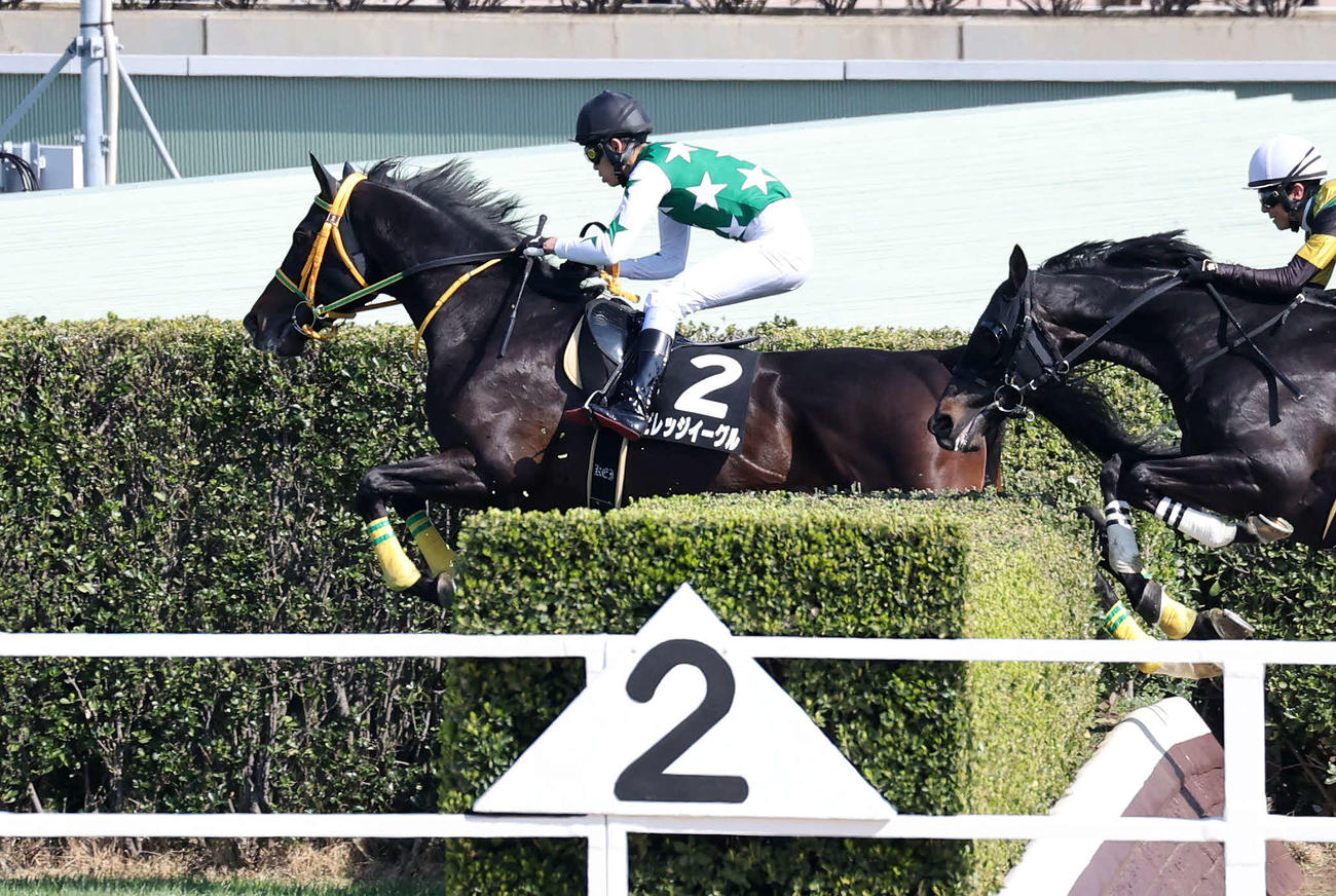 ペガサスジャンプSを制したビレッジイーグルと大江原圭騎手（撮影・鈴木正人）