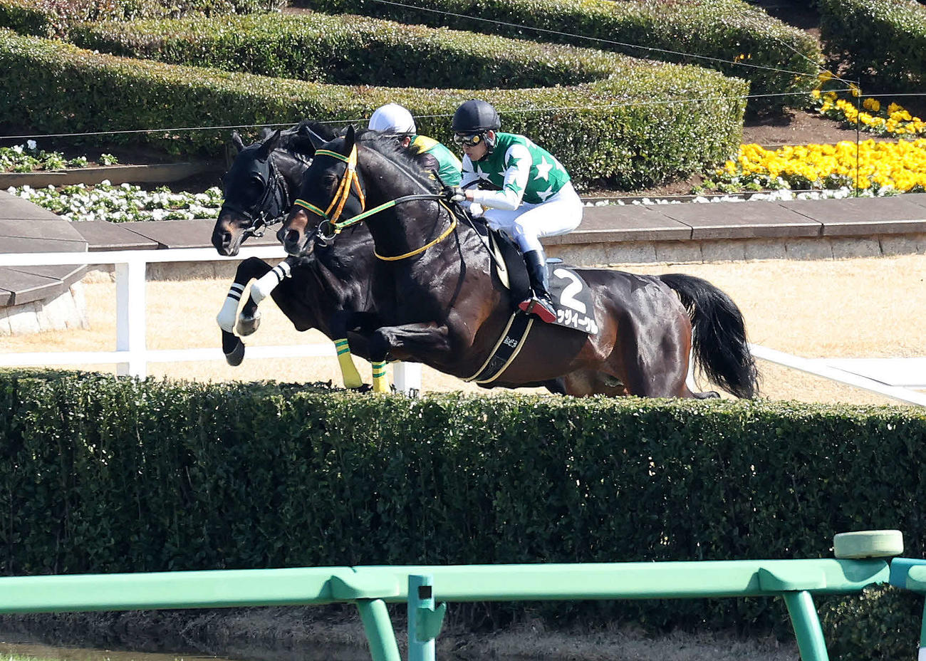 ペガサスジャンプSを制したビレッジイーグル（手前）と大江原圭騎手（撮影・鈴木正人）