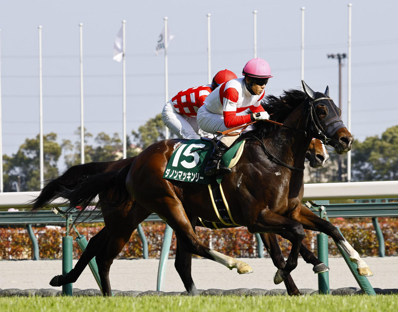 ファルコンステークス　1着ダノンマッキンリー（撮影・藤尾明華）