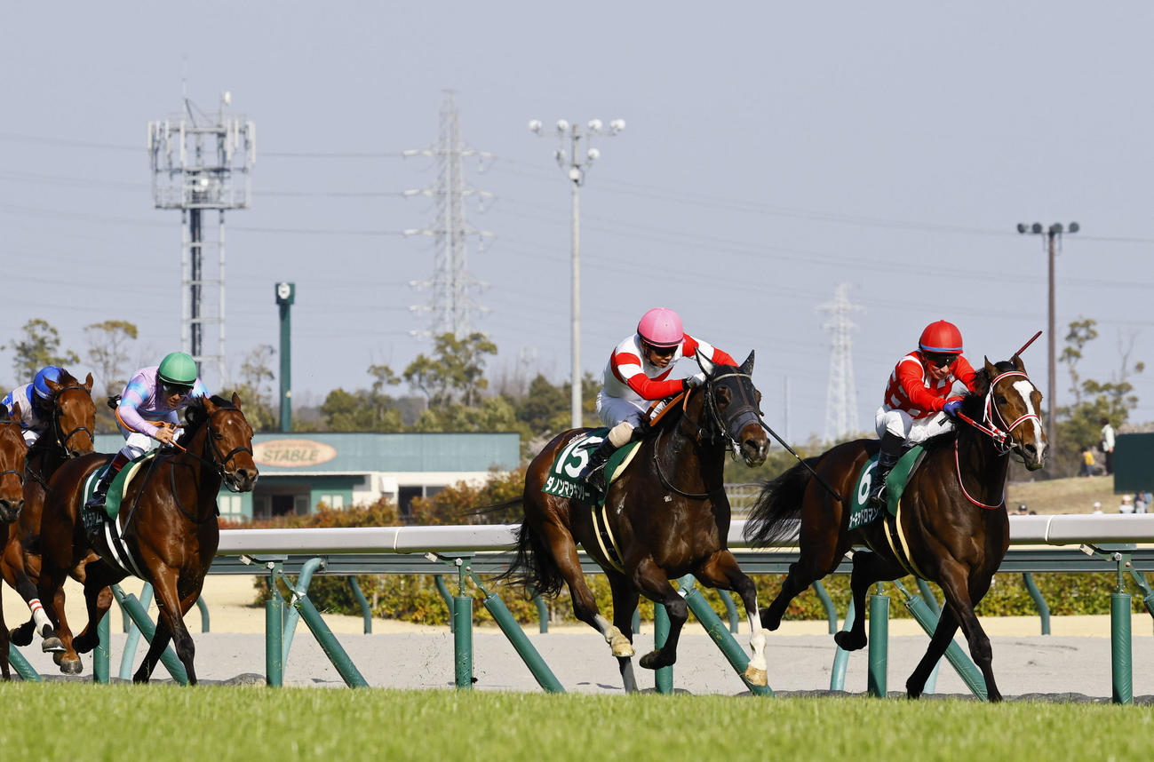 ファルコンステークス　1着ダノンマッキンリー（中央）、2着オーキッドロマンス（右端）