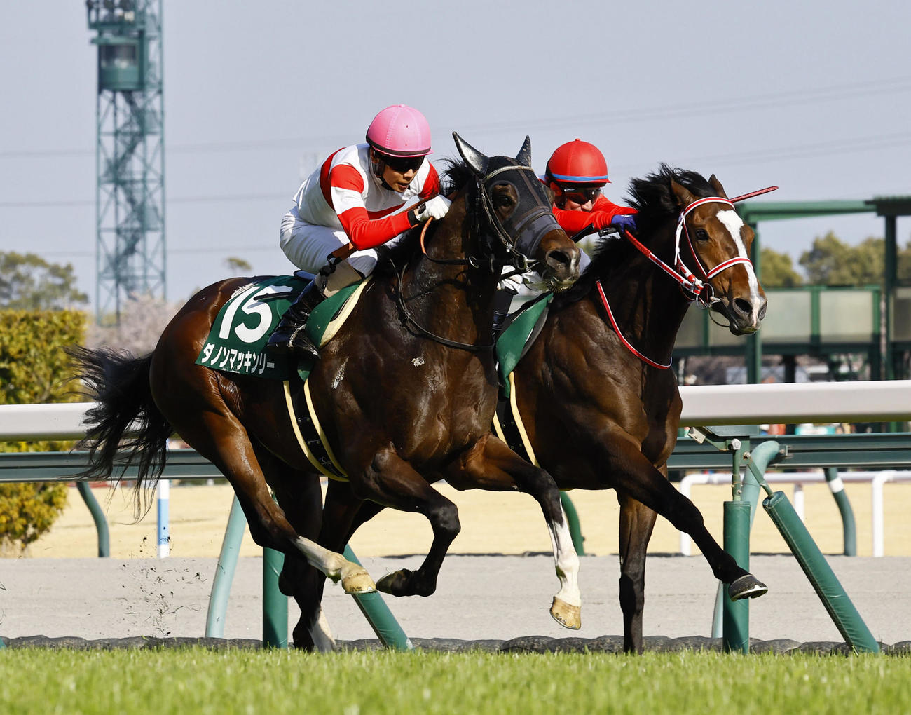 差し切ってファルコンSを制したダノンマッキンリーと北村友騎手（左）。右は2着オーキッドロマンス（撮影・藤尾明華）