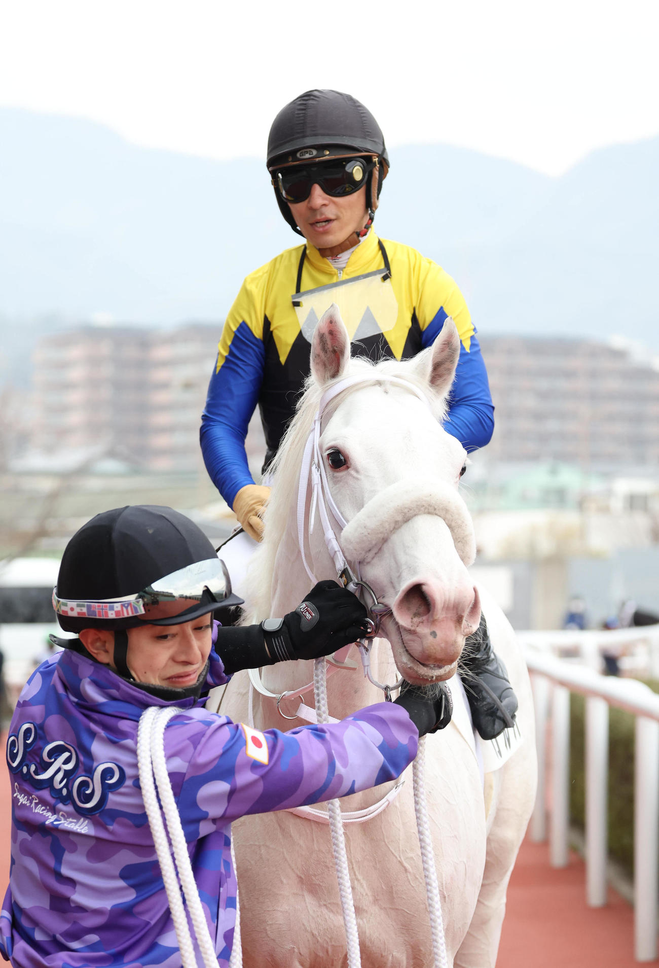 阪神2R、川田騎手を背に3歳未勝利を勝ち上がったカルパ（撮影・白石智彦）