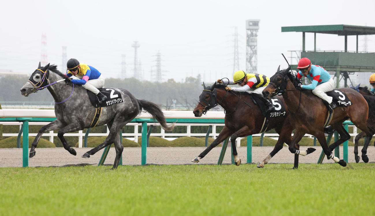 阪神9R、川田騎手騎乗の福永厩舎のプリモカリーナ（中央）は2着に終わる（撮影・白石智彦）