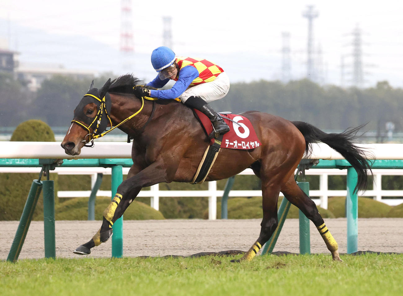 直線抜け出して阪神大賞典を快勝したテーオーロイヤル（撮影・白石智彦）