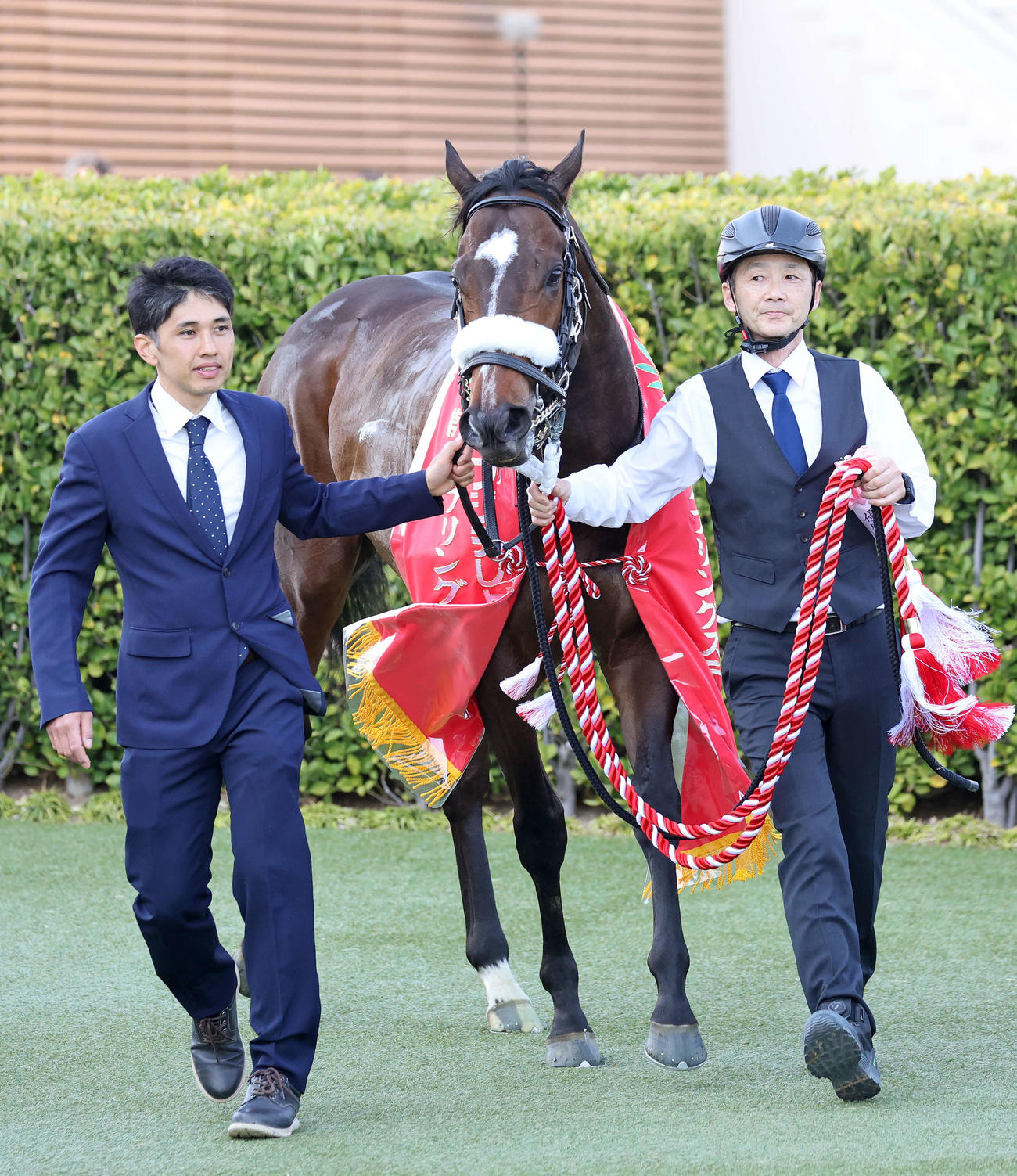 スプリングSを制したシックスペンス（撮影・鈴木正人）