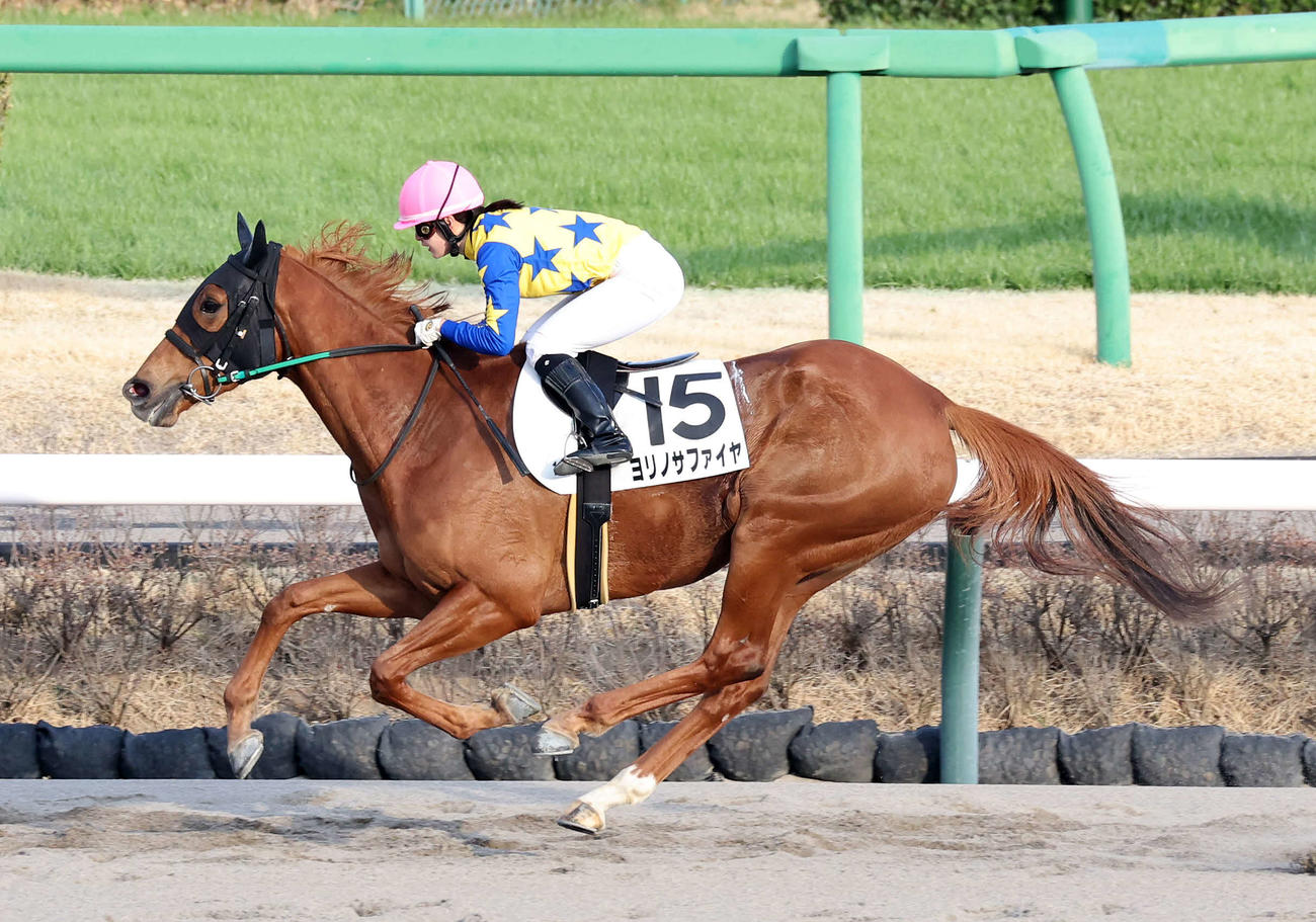 4歳上2勝クラスを制したヨリノサファイヤと藤田菜七子騎手（撮影・鈴木正人）