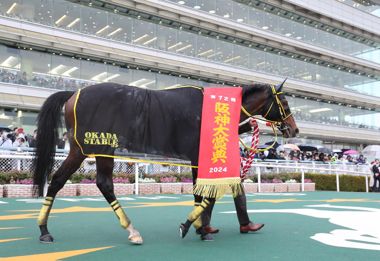 阪神大賞典を快勝したテーオーロイヤル（撮影・白石智彦）