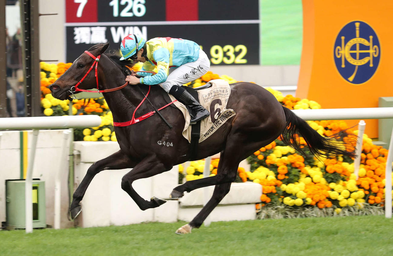 ビクターザウィナー（C）The Hong Kong Jockey Club