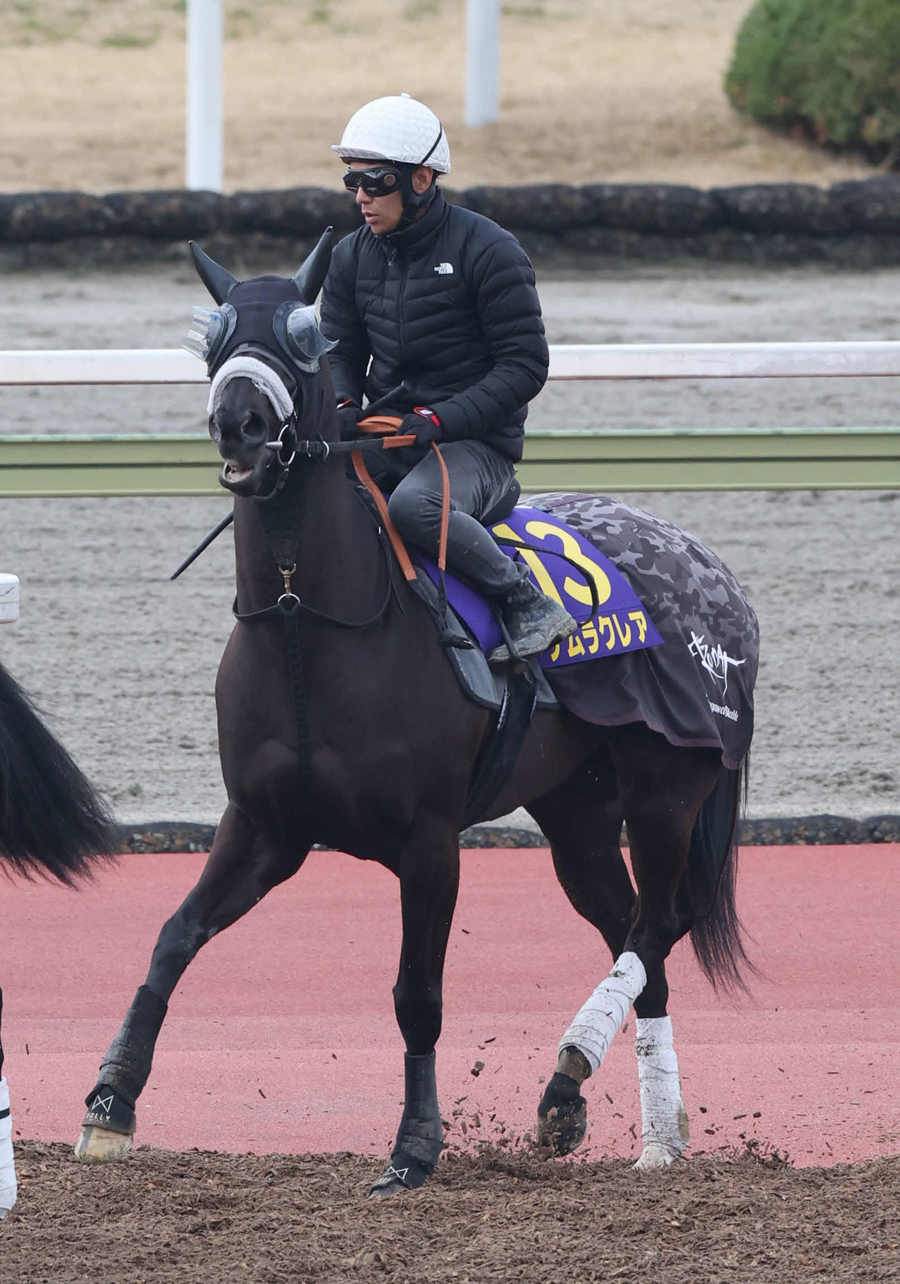 13日、浜中騎手を背に馬場入りするナムラクレア