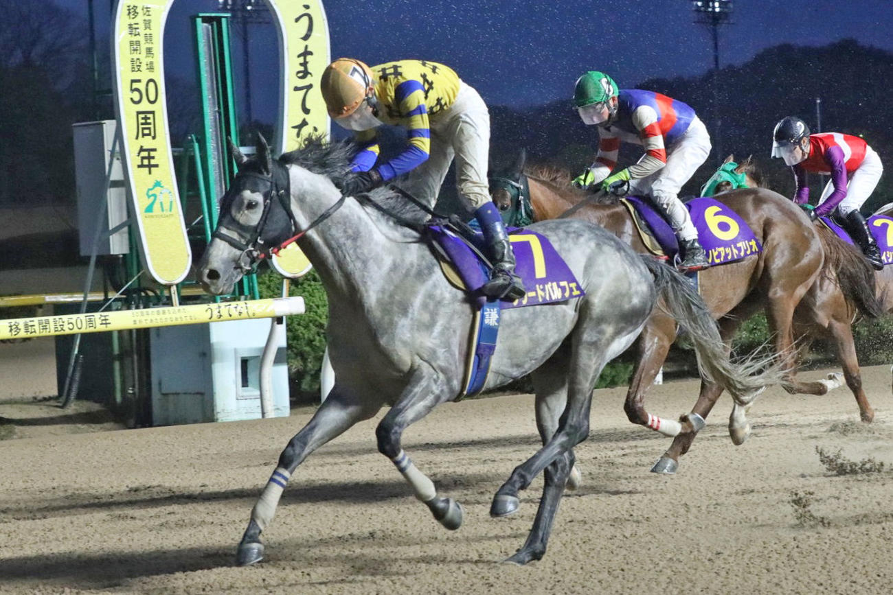 23年、はがくれ大賞典の勝ち馬グリードパルフェ（撮影・佐賀県競馬組合）