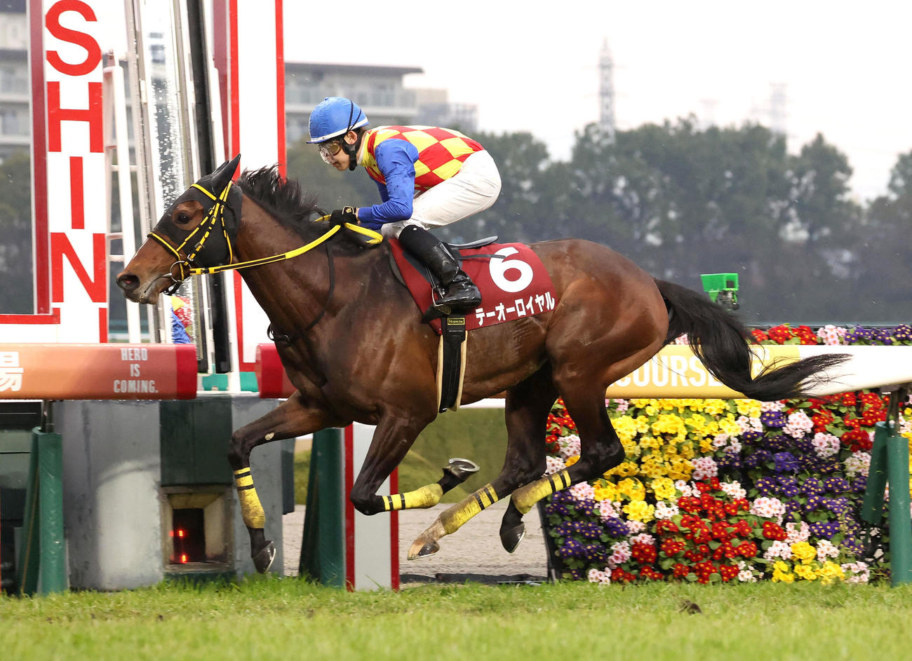 阪神大賞典を快勝したテーオーロイヤル（白石智彦）
