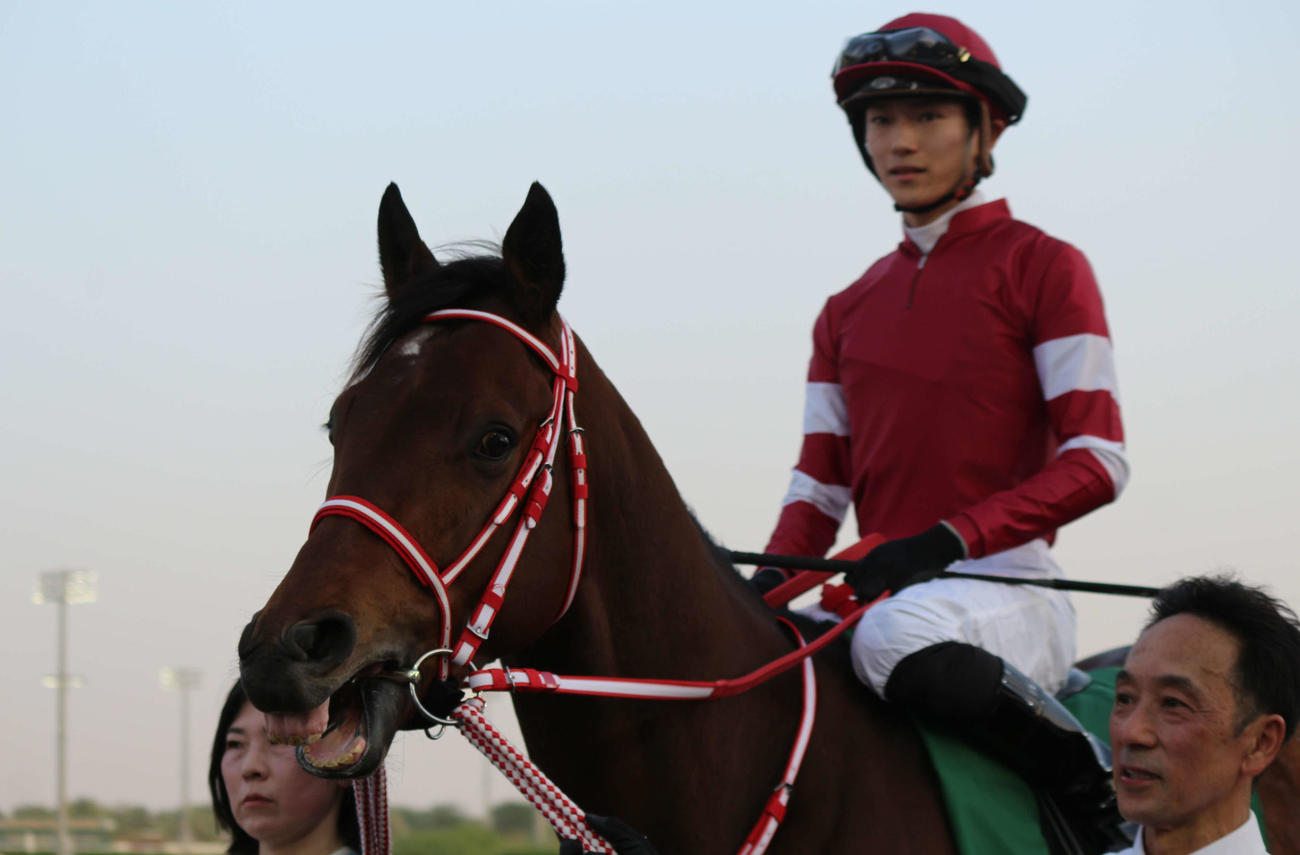 サウジダービーで馬場入りするフォーエバーヤング（撮影・木南友輔）
