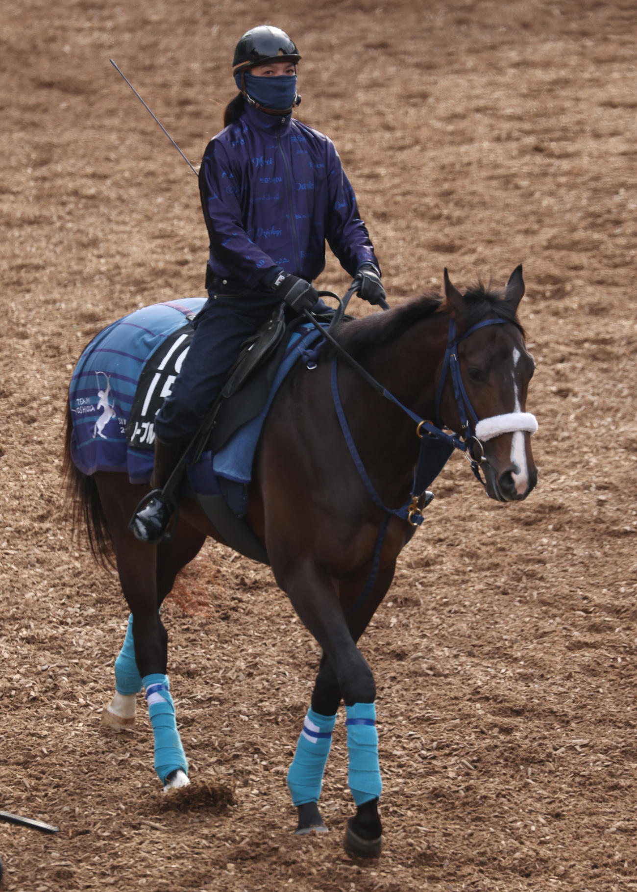 毎日杯で重賞2連勝を目指すノーブルロジャー