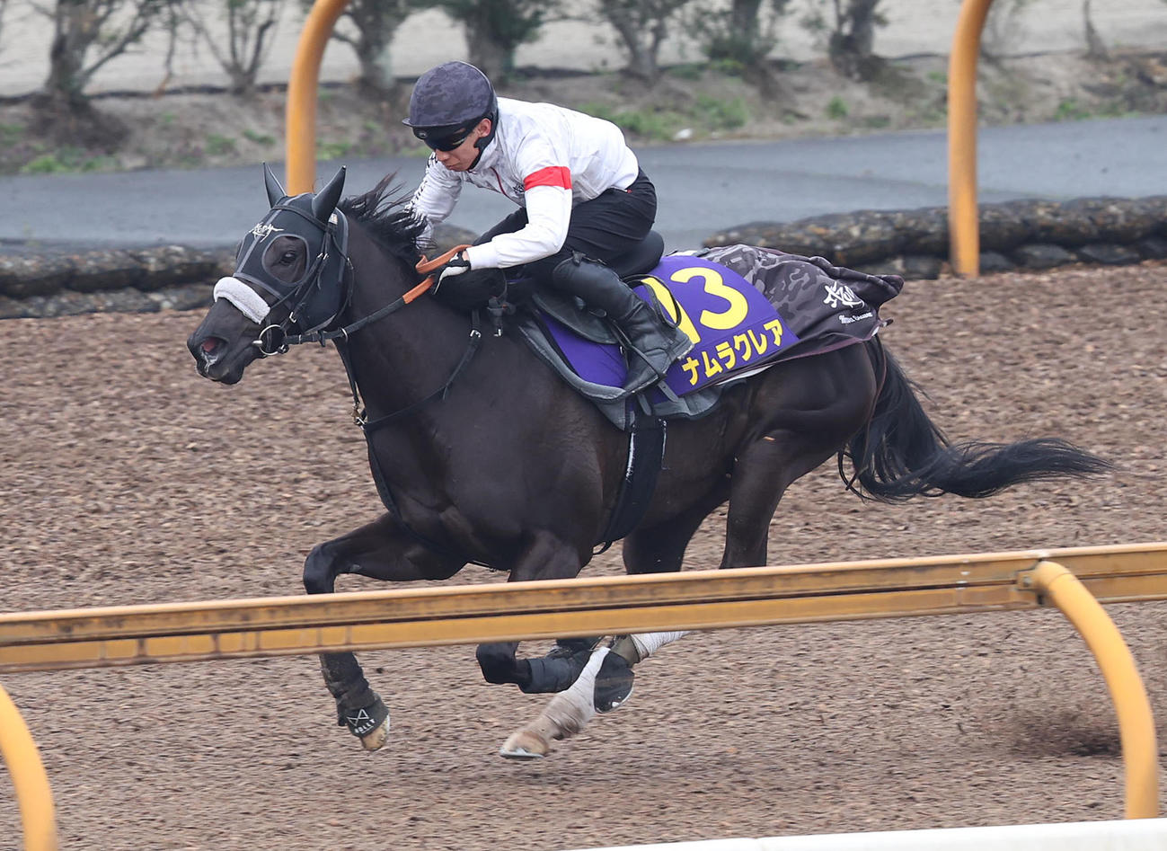 Cウッドを単走で追い切るナムラクレア（撮影・白石智彦）