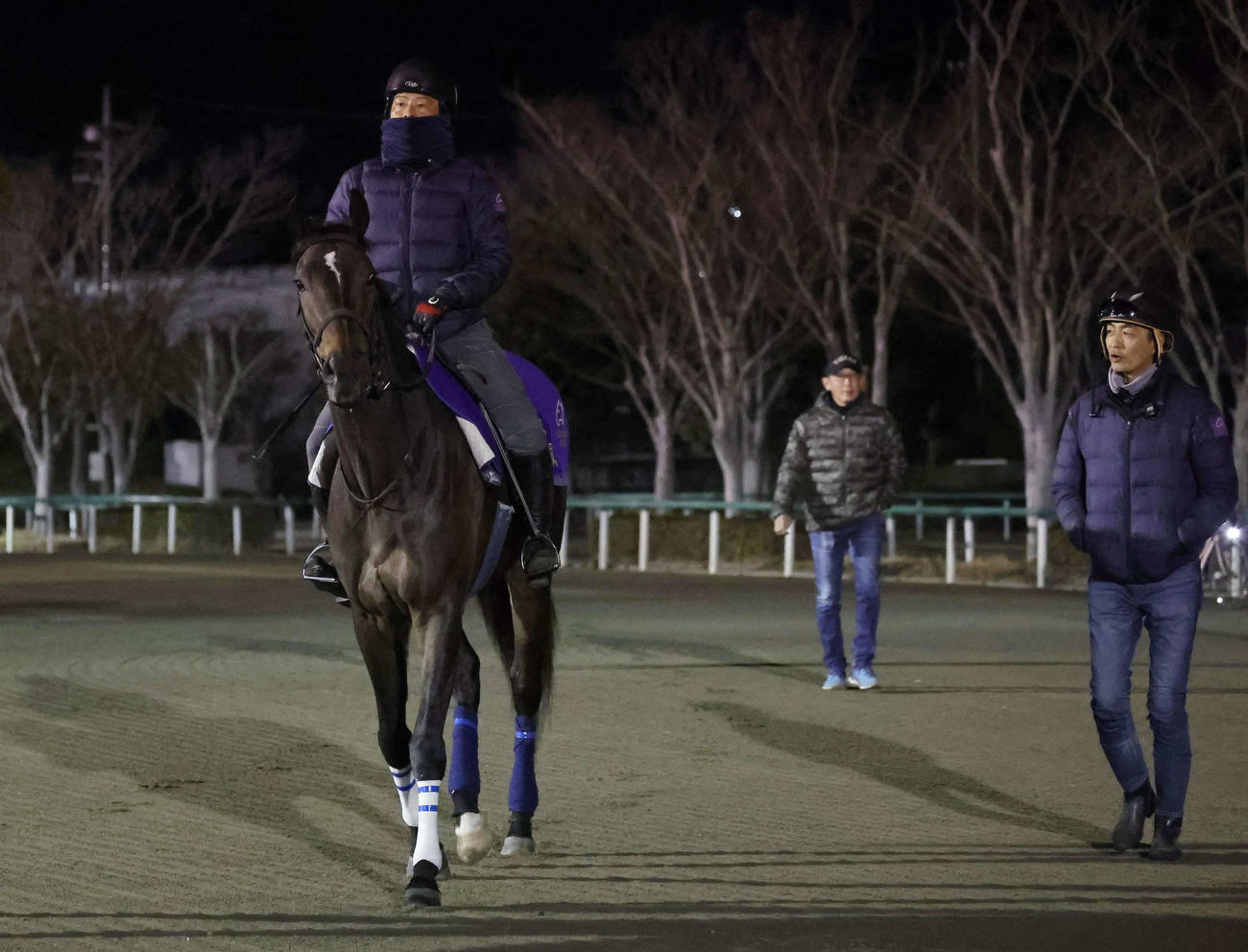 馬場へ向かうスターズオンアース。右端は高柳瑞師（撮影・丹羽敏通）