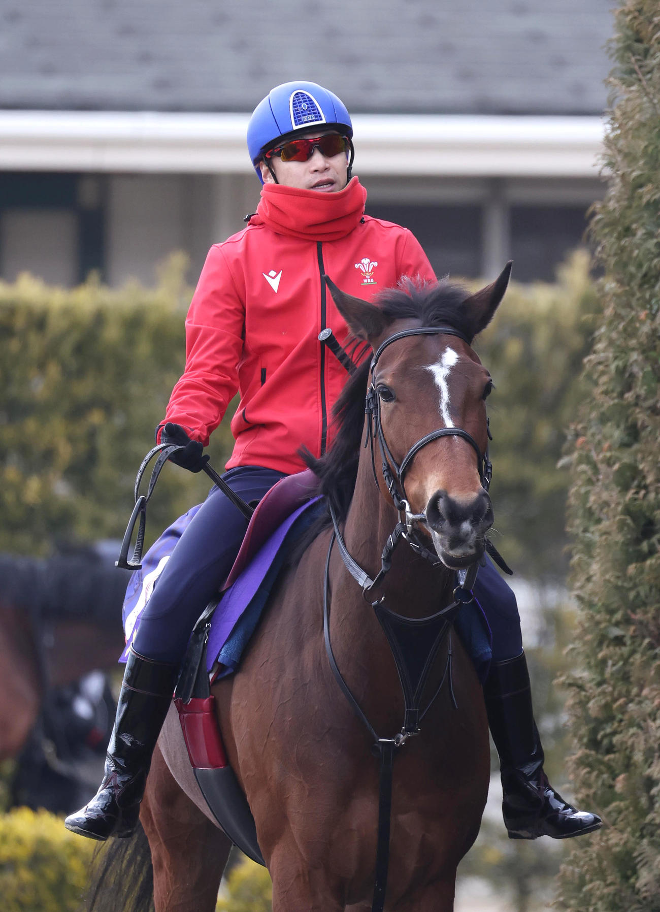 池添騎手を背に厩舎周りで運動するメイケイエール（撮影・白石智彦）