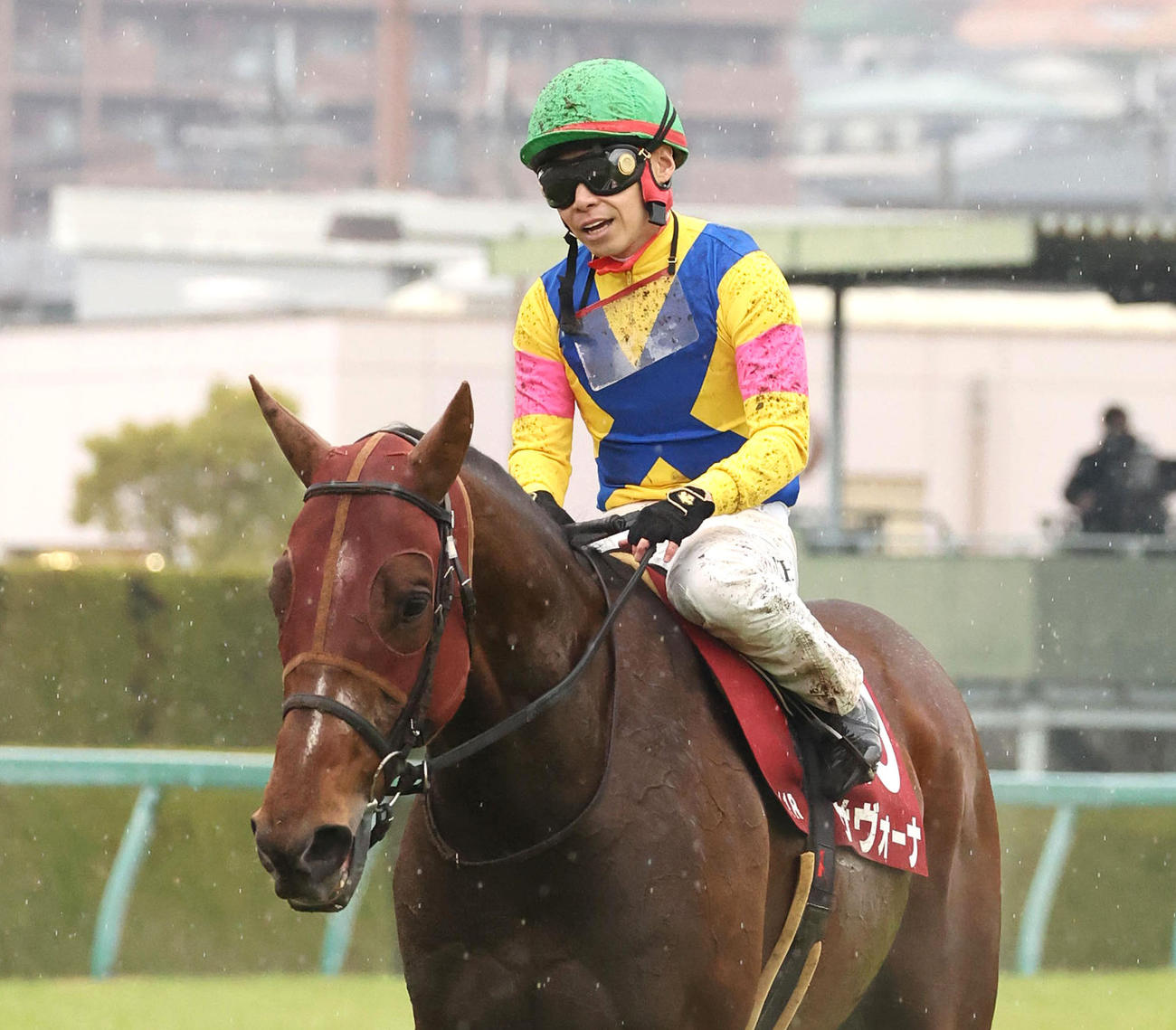 17日、阪神大賞典6着に敗れたサヴォーナ