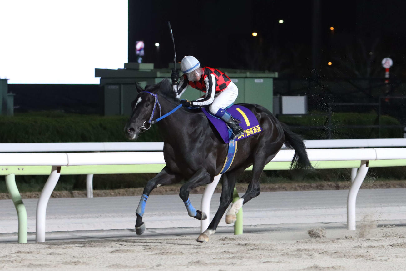 直線で抜け出し京浜盃を制したサントノーレと服部茂史騎手