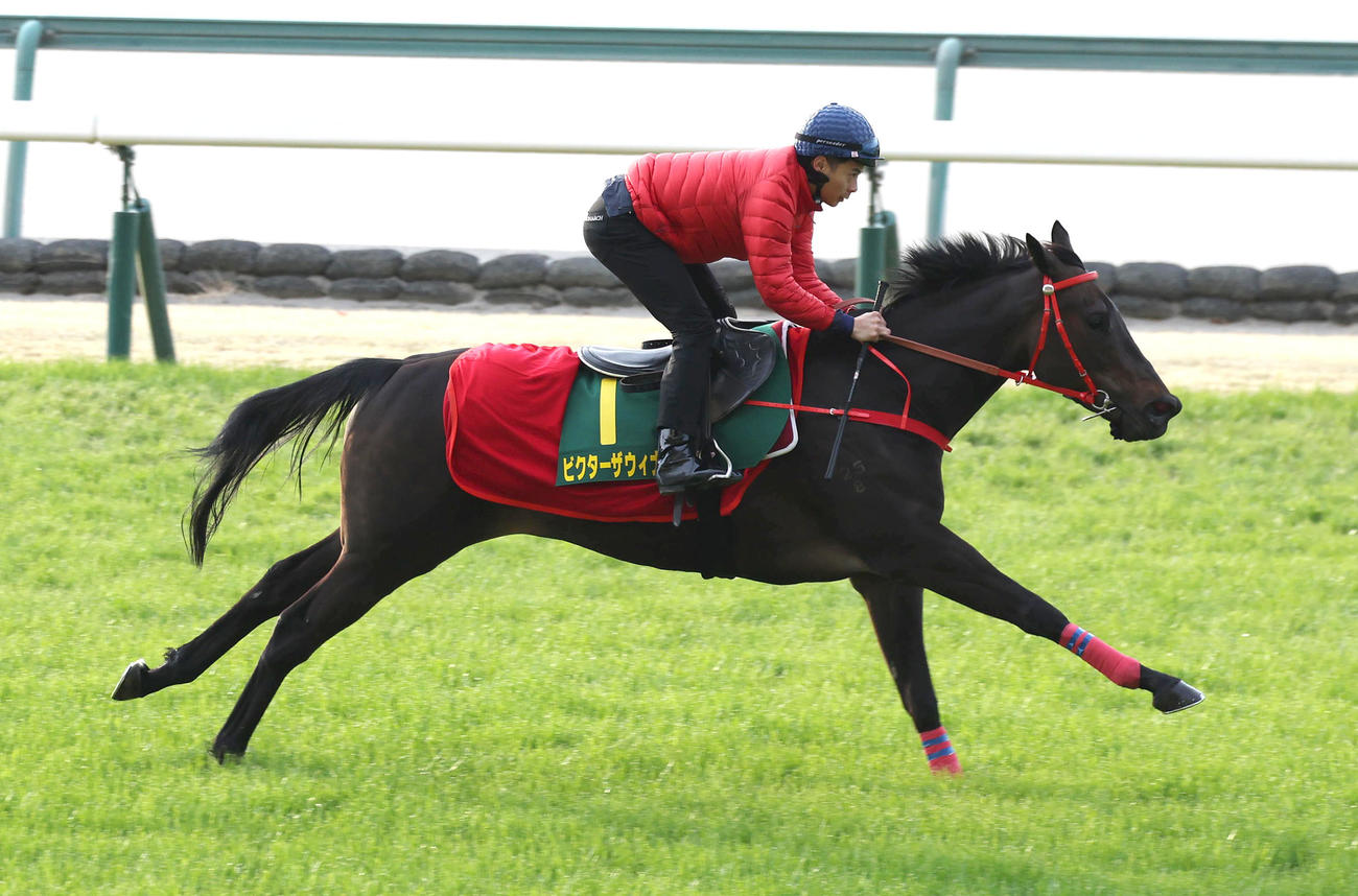 リョン騎手を背に中京競馬場の芝コースで追い切るビクターザウィナー（2024年3月19日撮影）
