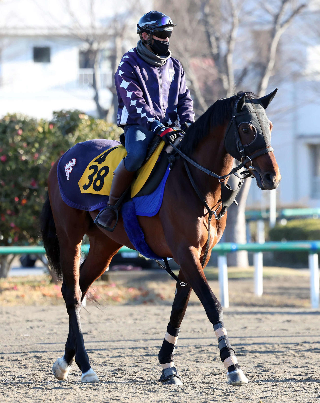 馬場へ向かうキタノリューオー（撮影・丹羽敏通）