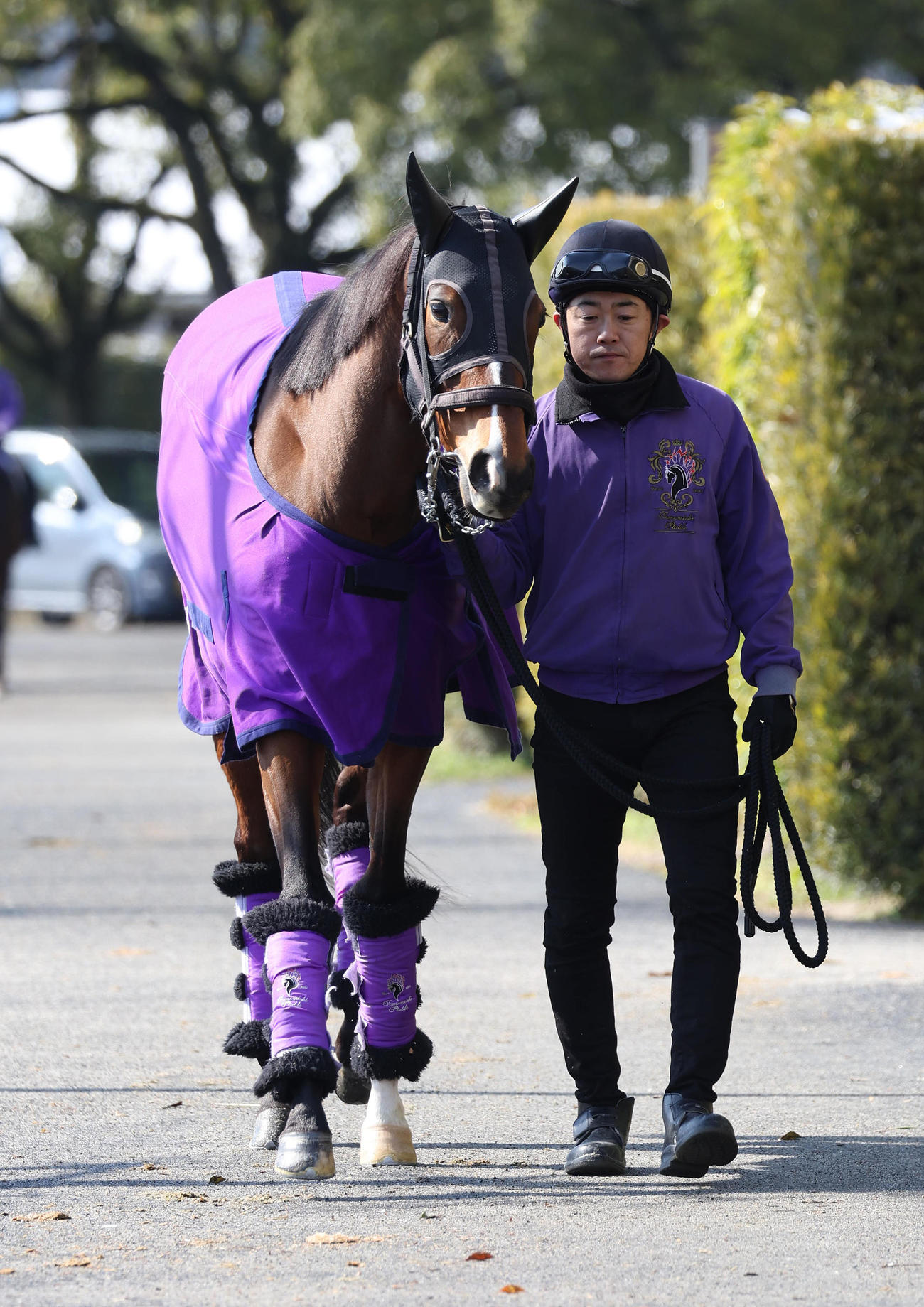 厩舎周りを運動するディヴィーナ（撮影・白石智彦）