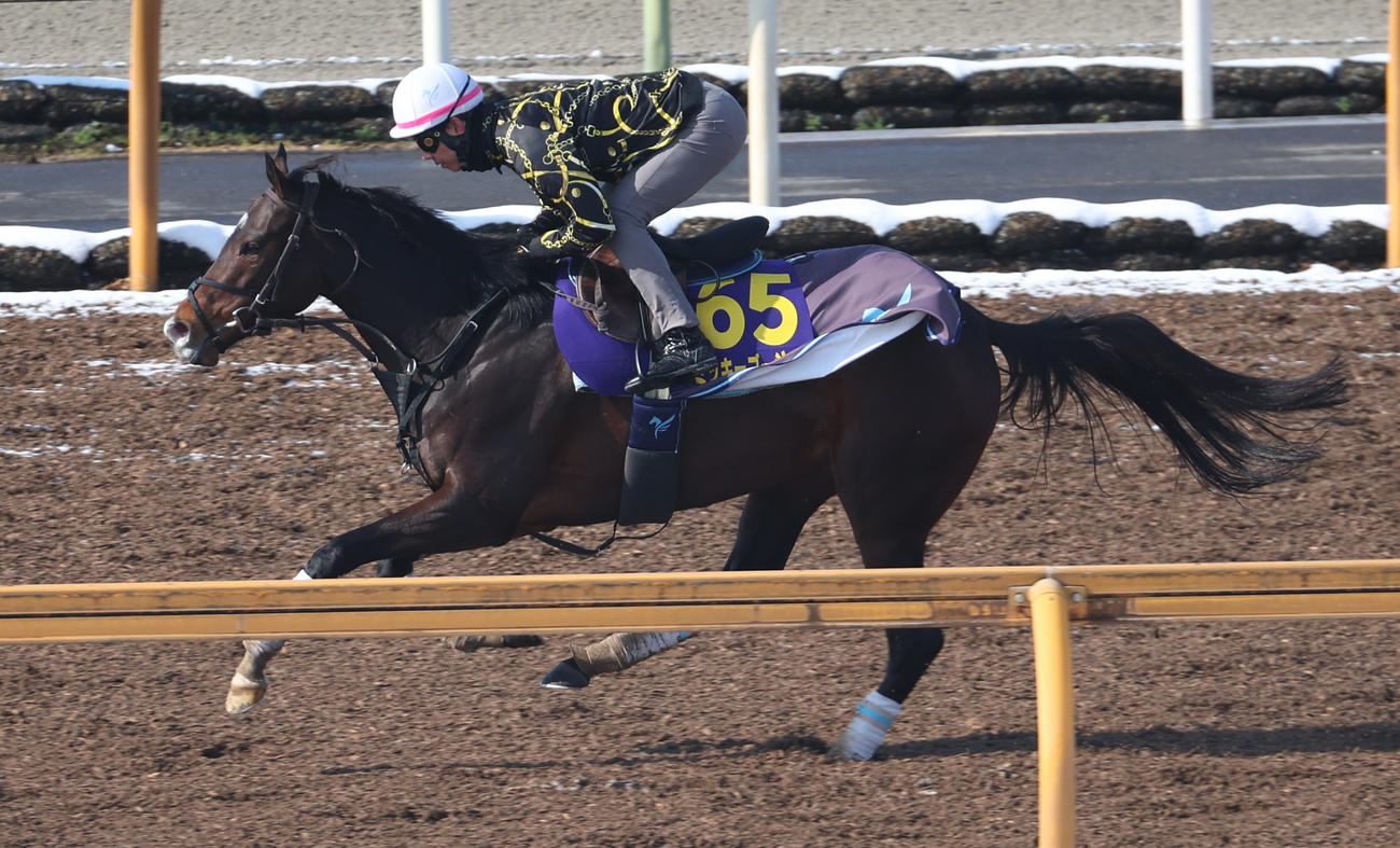 CWコースにて併せ馬で追い切るミッキーゴージャス