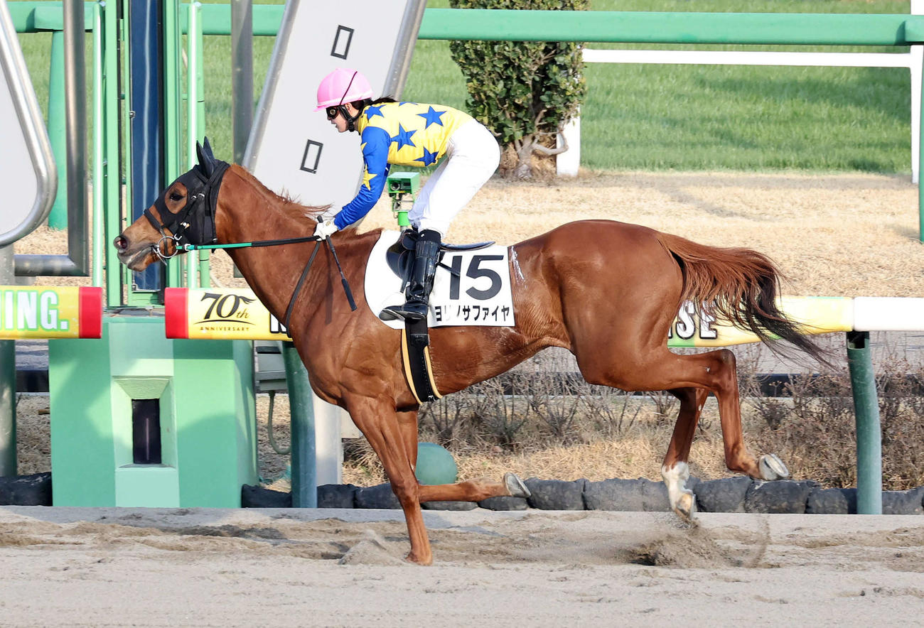 4歳2勝クラスを制したヨリノサファイヤと藤田菜七子騎手（2024年3月17日撮影）