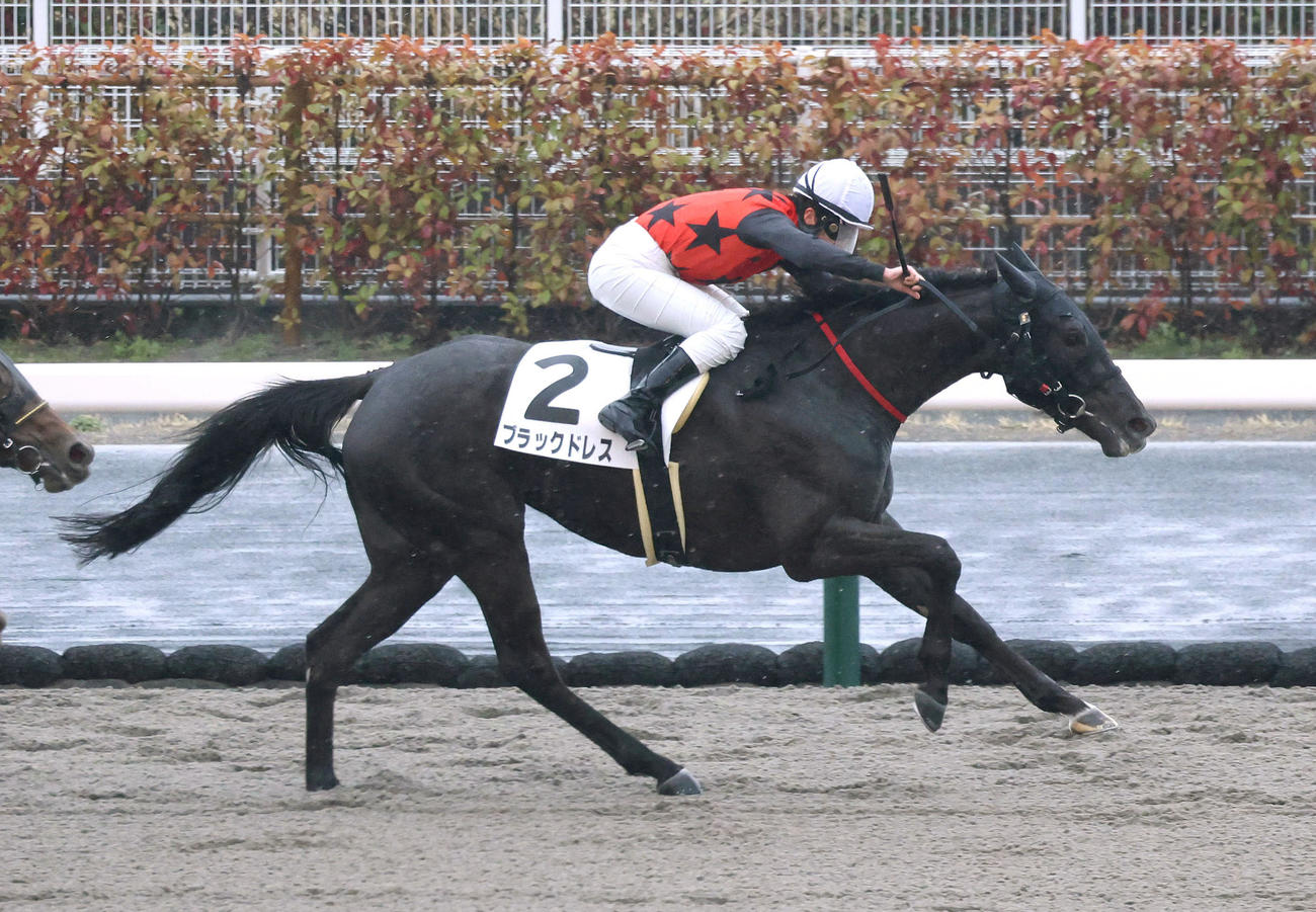 中京1R、永島騎手を背に3歳未勝利を勝ち上がったブラックドレス（撮影・白石智彦）