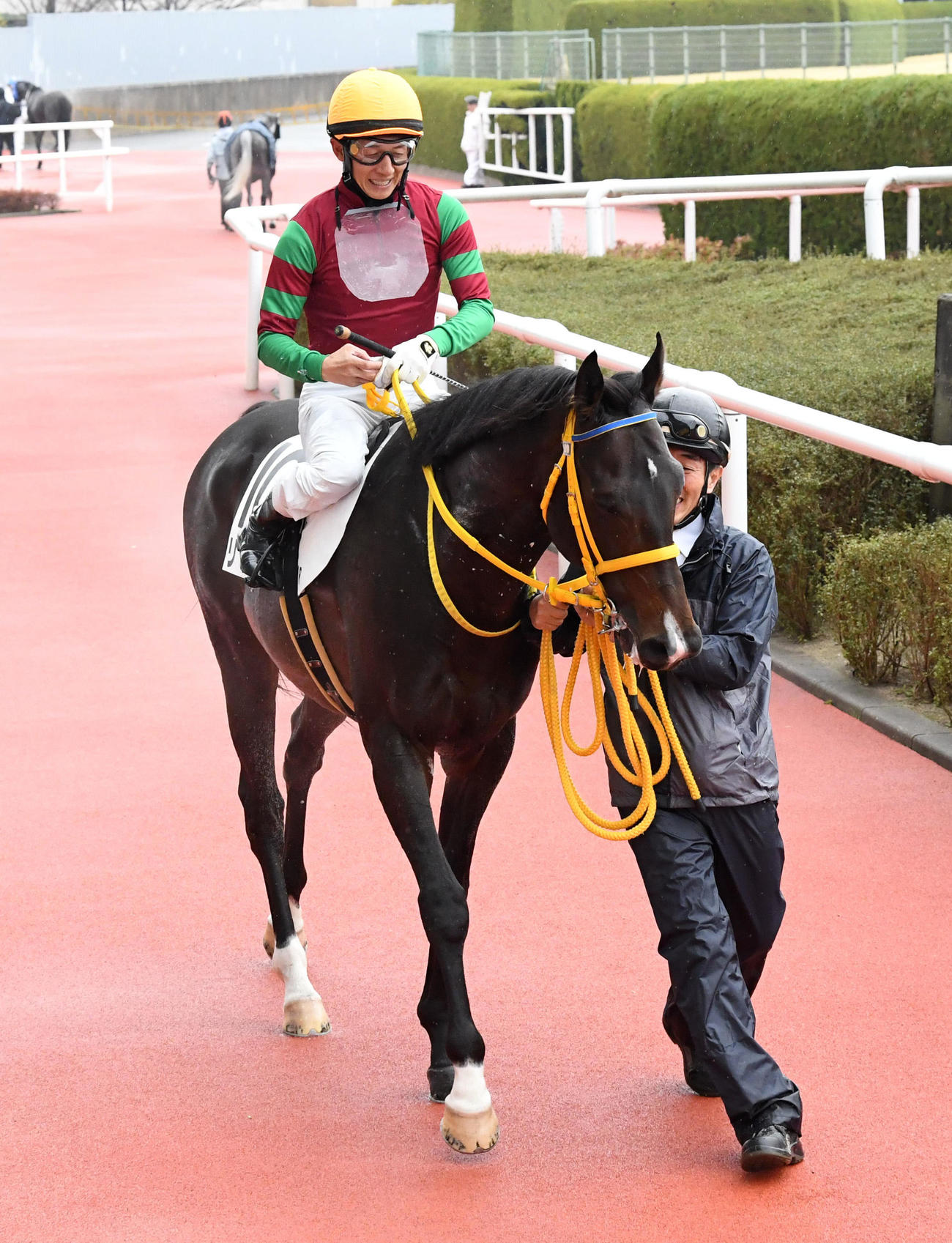 4歳以上1勝クラス戦を制したリジン（撮影・前岡正明）