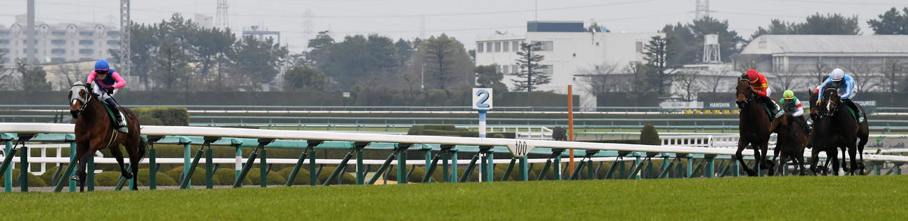 毎日杯を制したメイショウタバル（撮影・前岡正明）