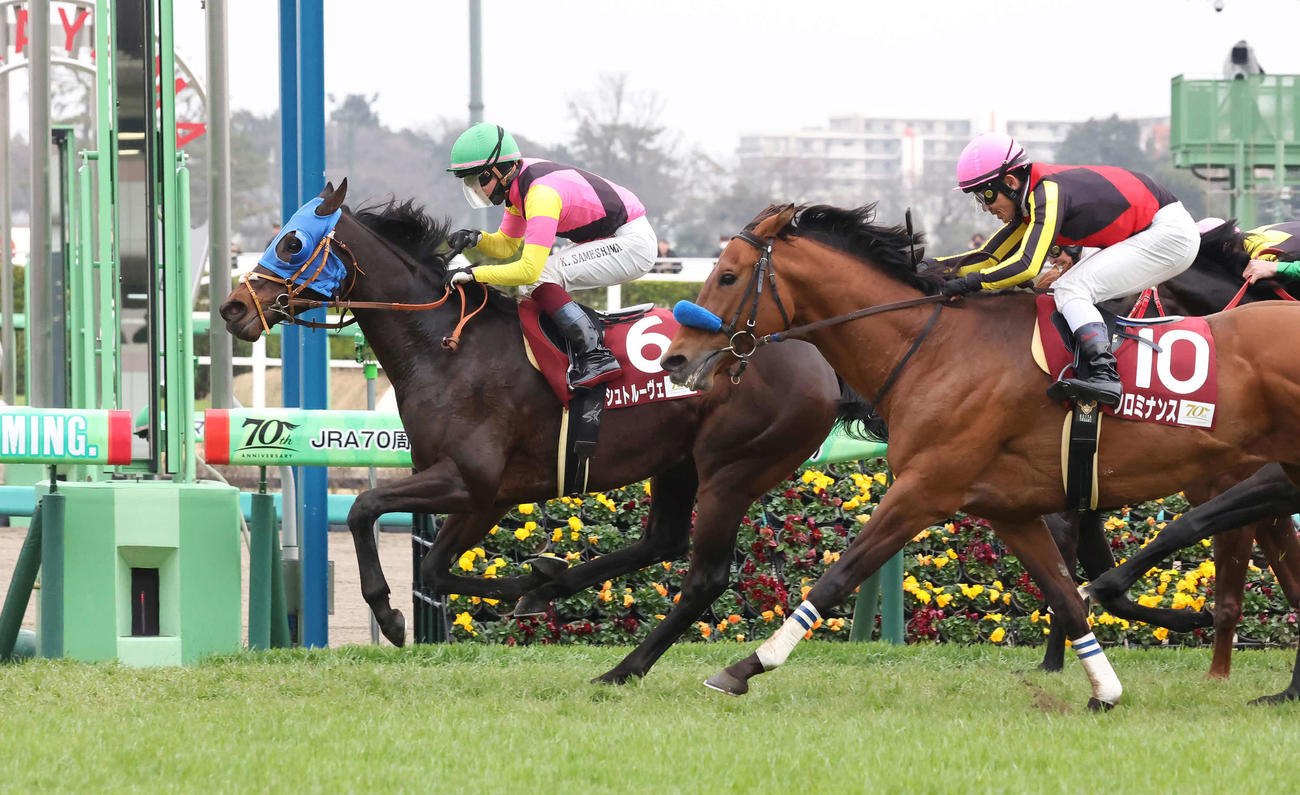 日経賞を制したシュトルーヴェと鮫島克騎手（左）。右は2着クロミナンス（撮影・丹羽敏通）