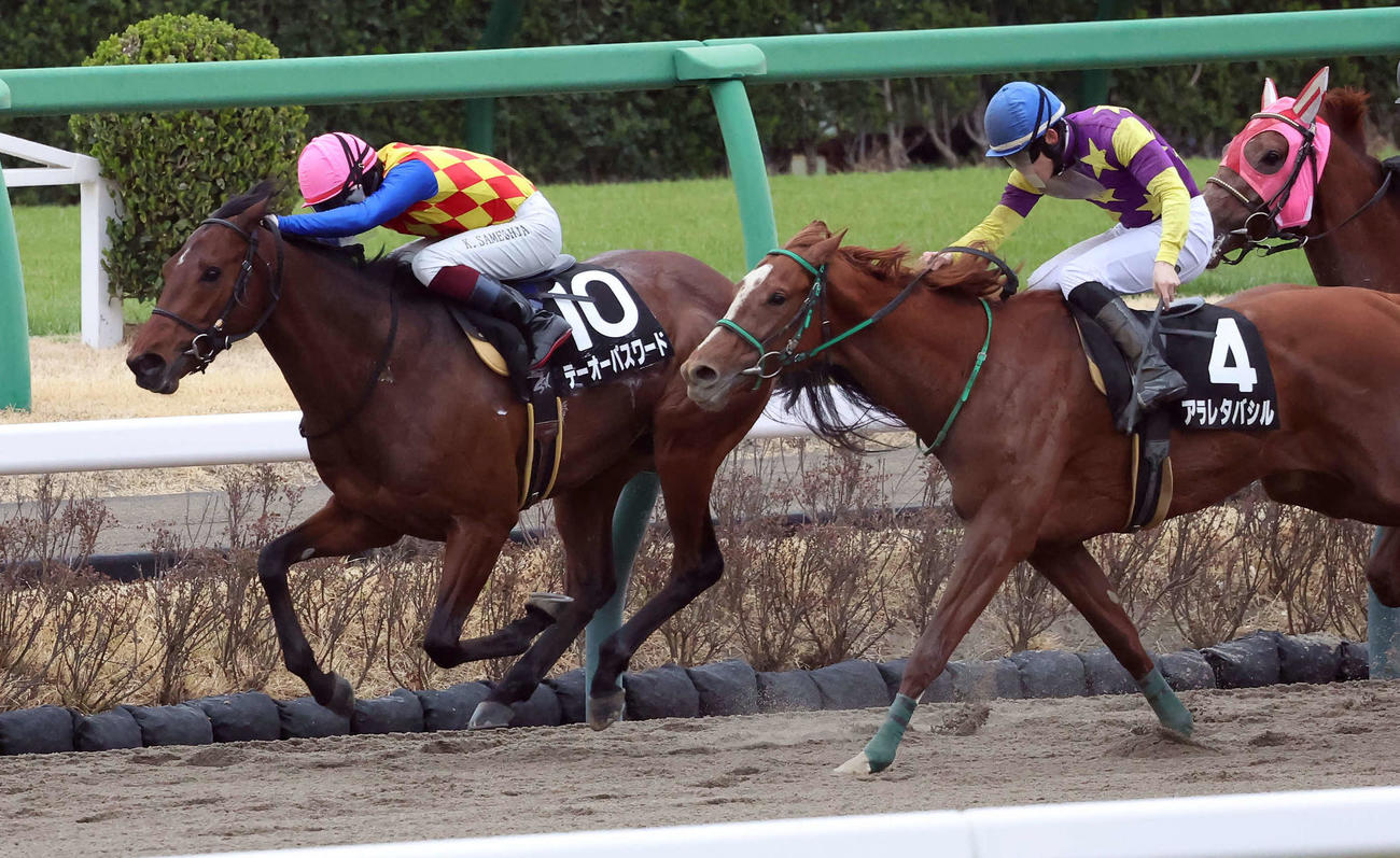伏竜Sを制したテーオーパスワードと鮫島駿騎手（左）。右は2着アラレタバシル（撮影・丹羽敏通）