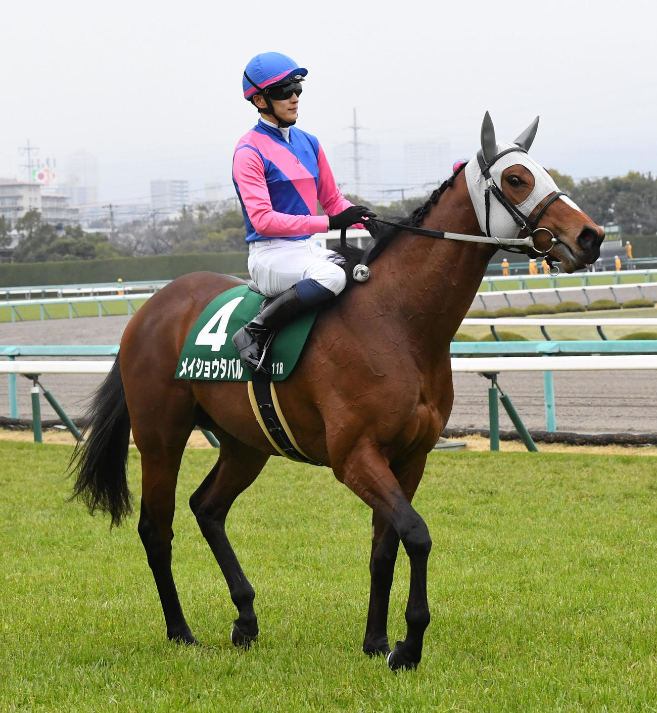 毎日杯を制したメイショウタバル（撮影・前岡正明）