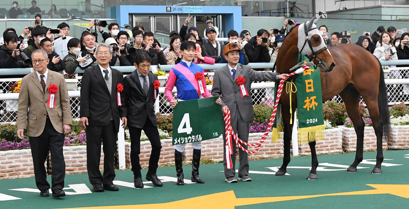毎日杯を制したメイショウタバルと坂井騎手（撮影・前岡正明）