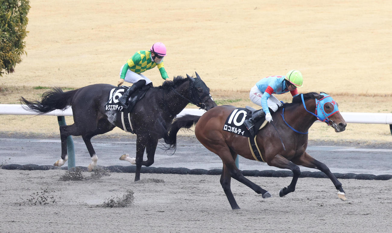 中京11R、直線抜け出して伊勢Sを制したロコポルティ（右）（撮影・白石智彦）