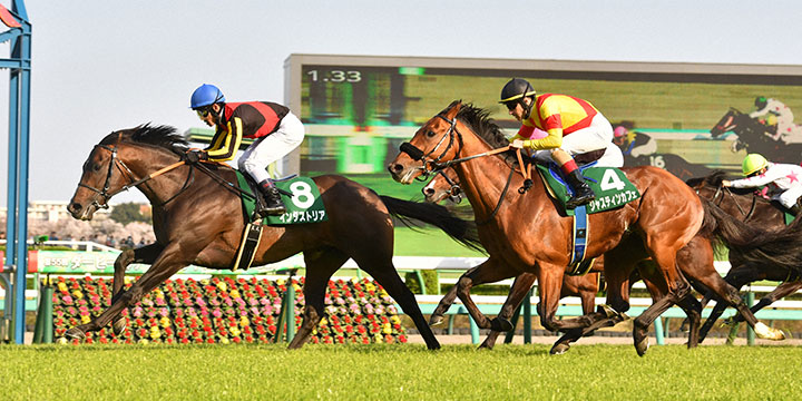 外から伸びたインダストリア（左）がダービー卿CTを制した（撮影・柴田隆二）＝2023年4月1日、中山競馬場