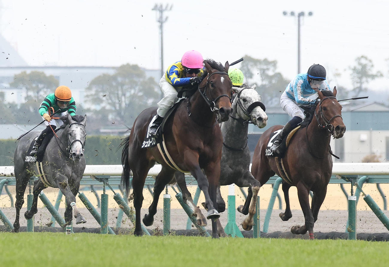 逃げ切って大寒桜賞を制したシュガークン（中央）（撮影・白石智彦）