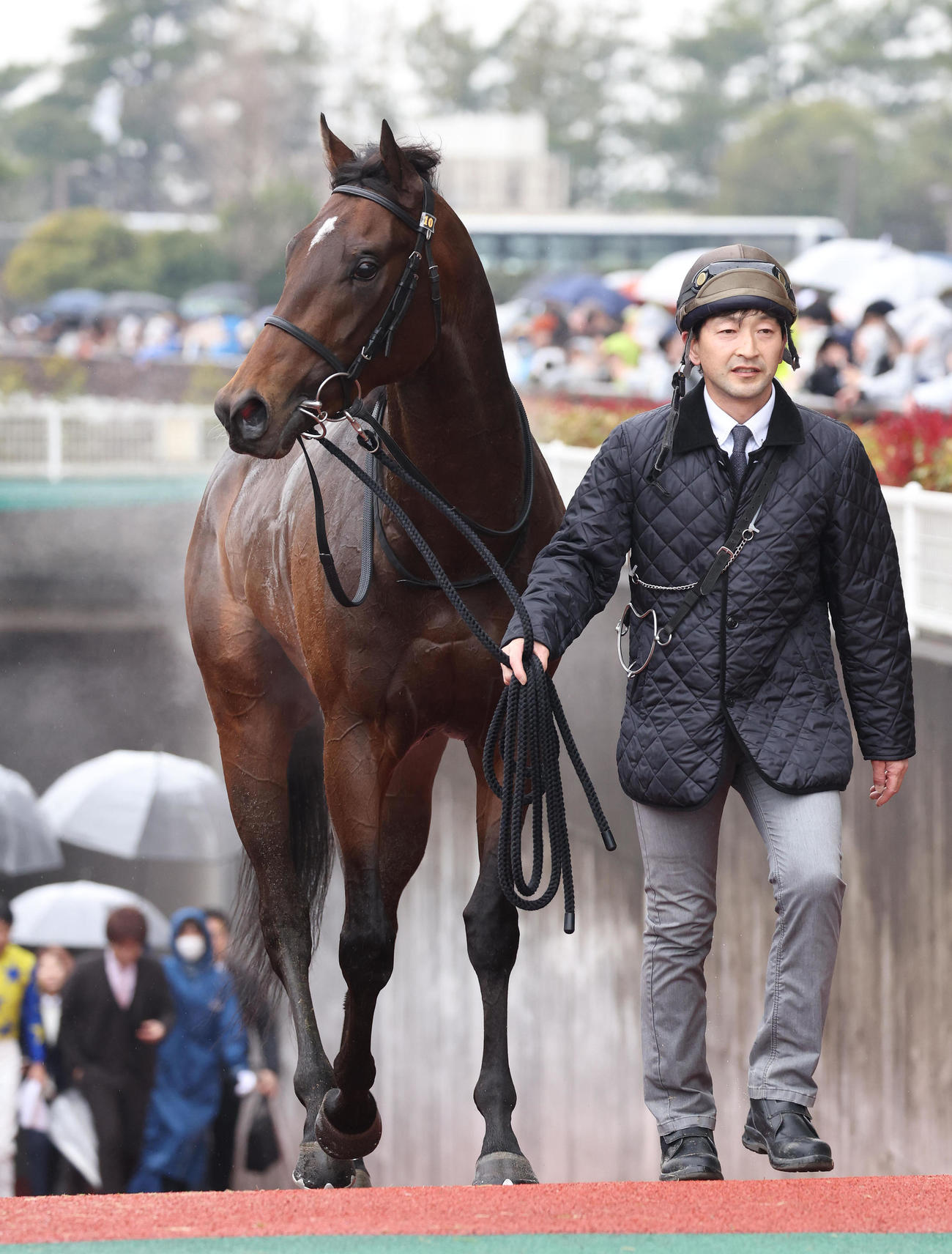 中京9R、大寒桜賞を制したシュガークン（撮影・白石智彦）