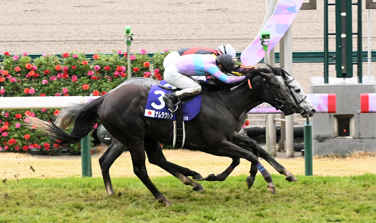 高松宮記念を制したマッドクール。手前は2着ナムラクレア（撮影・前岡正明）