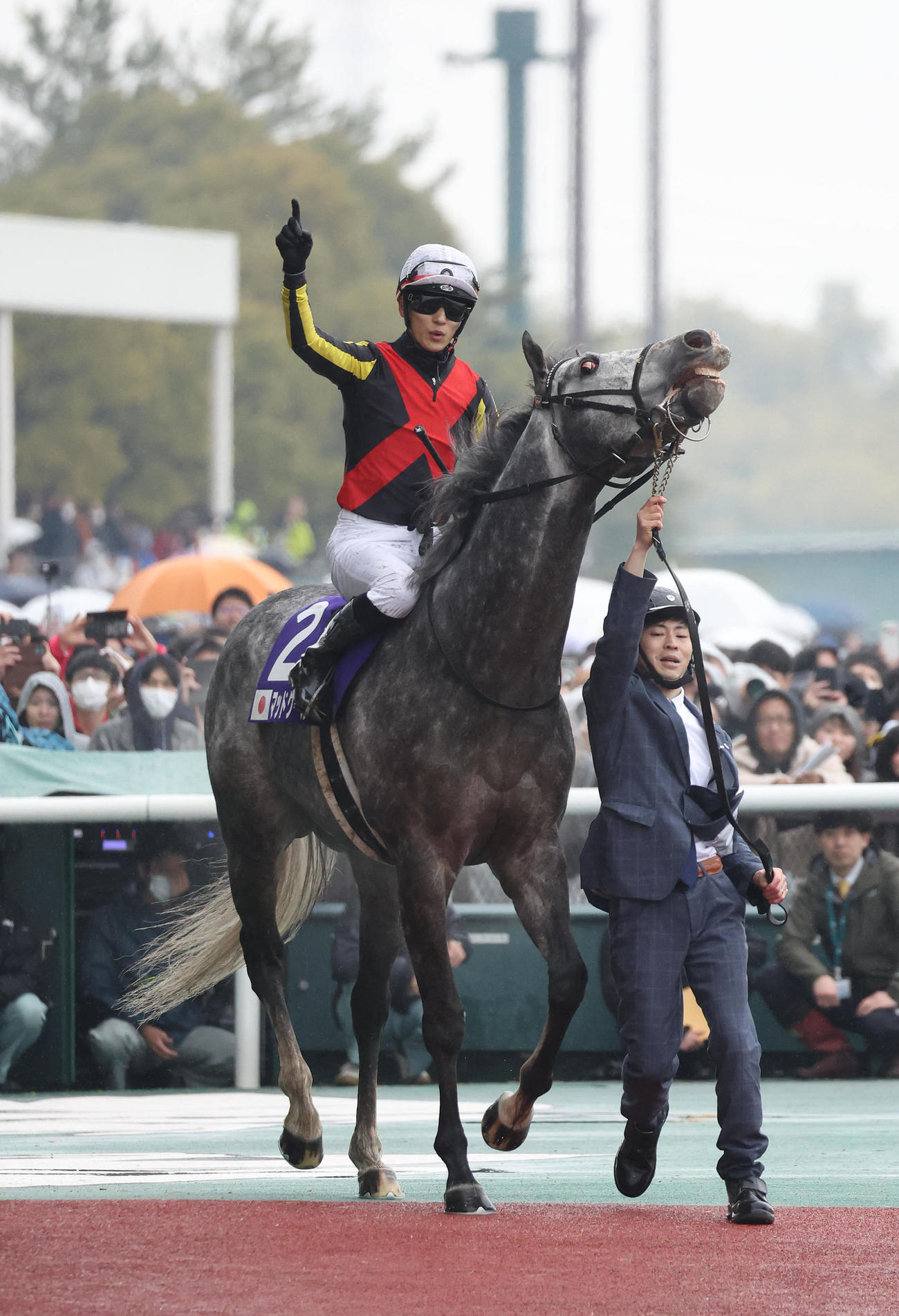 マッドクールで高松宮記念を制してガッツポーズで引き揚げる坂井騎手（撮影・白石智彦）