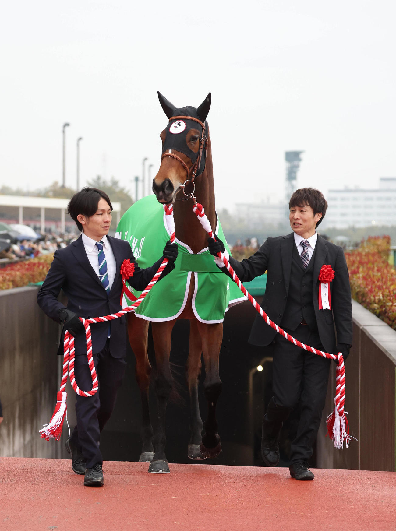 引退式で芝コースに入場するメイケイエール（撮影・白石智彦）