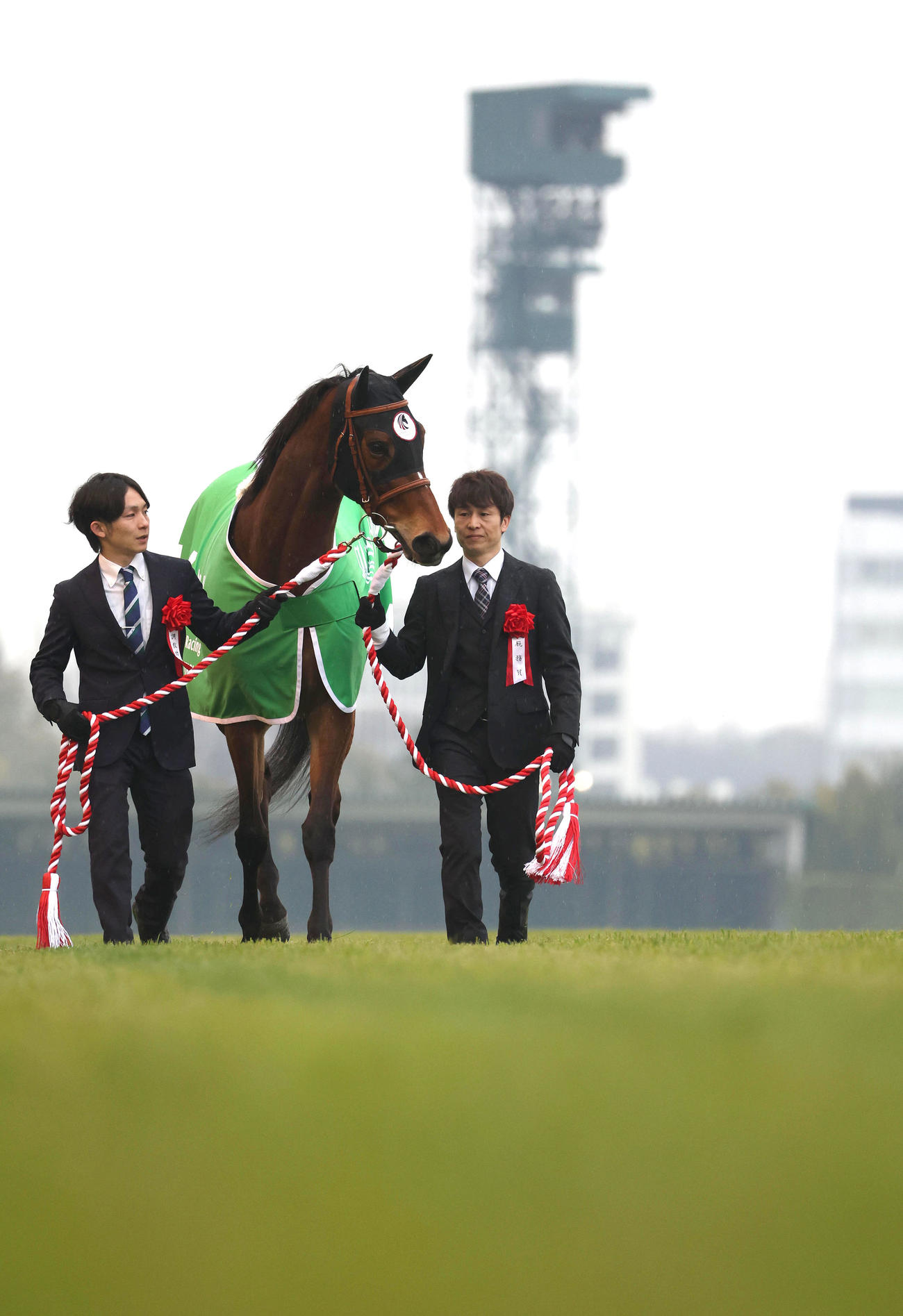 引退式で芝コースを歩くメイケイエール（撮影・白石智彦）