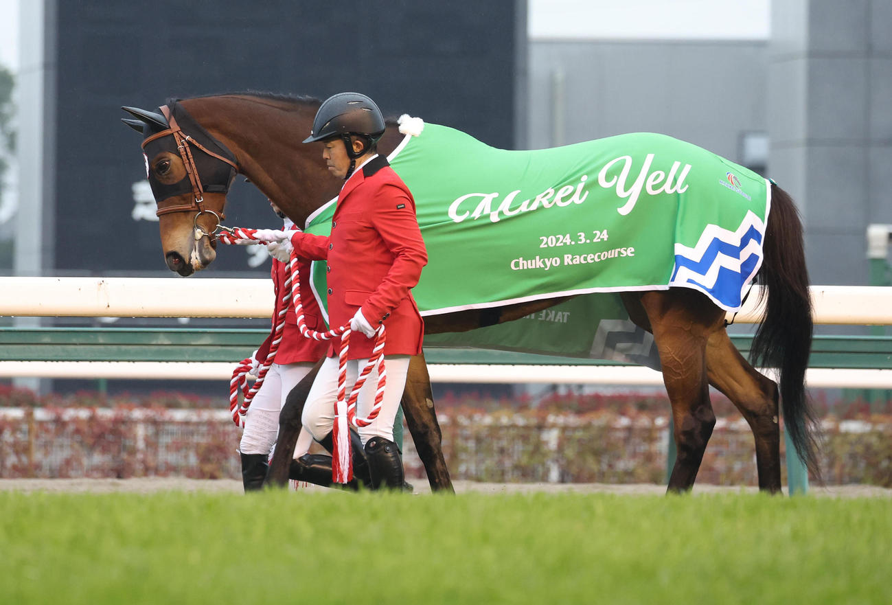 引退式で芝コースを歩くメイケイエール（撮影・白石智彦）