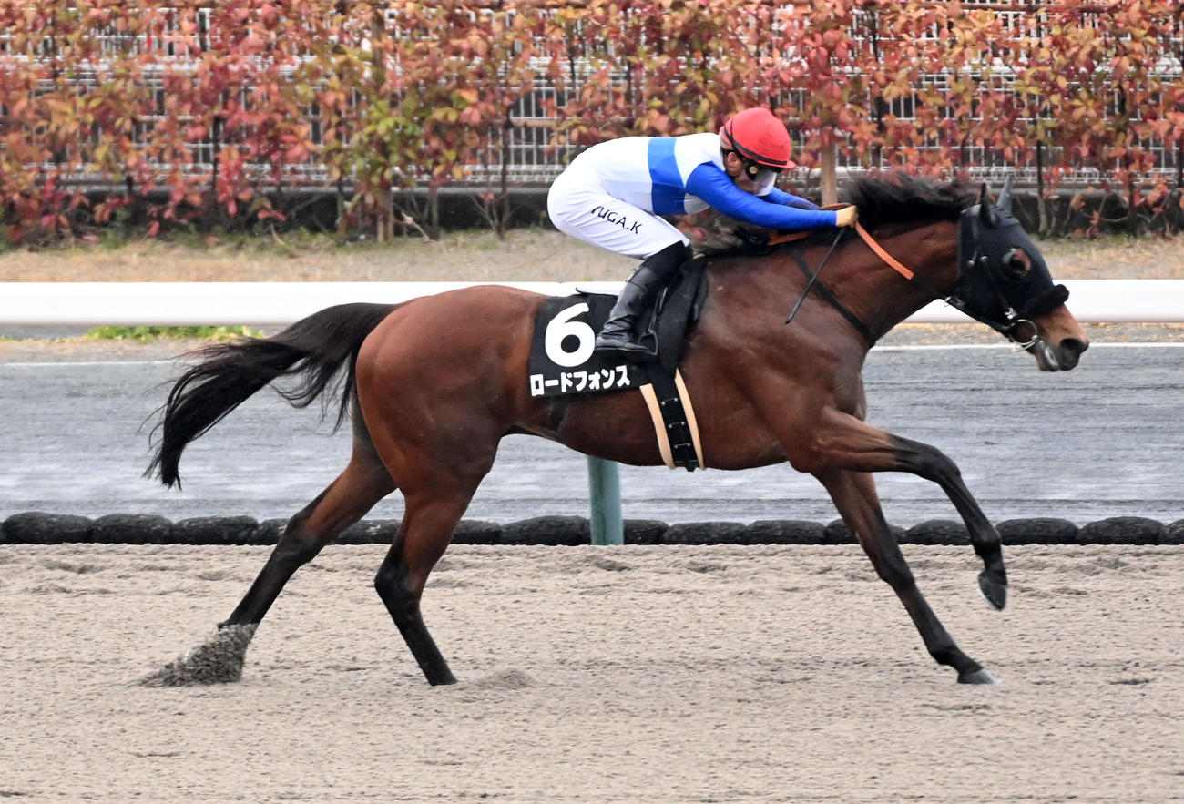 鈴鹿特別を制したロードフォンスと川田騎手（撮影・前岡正明）