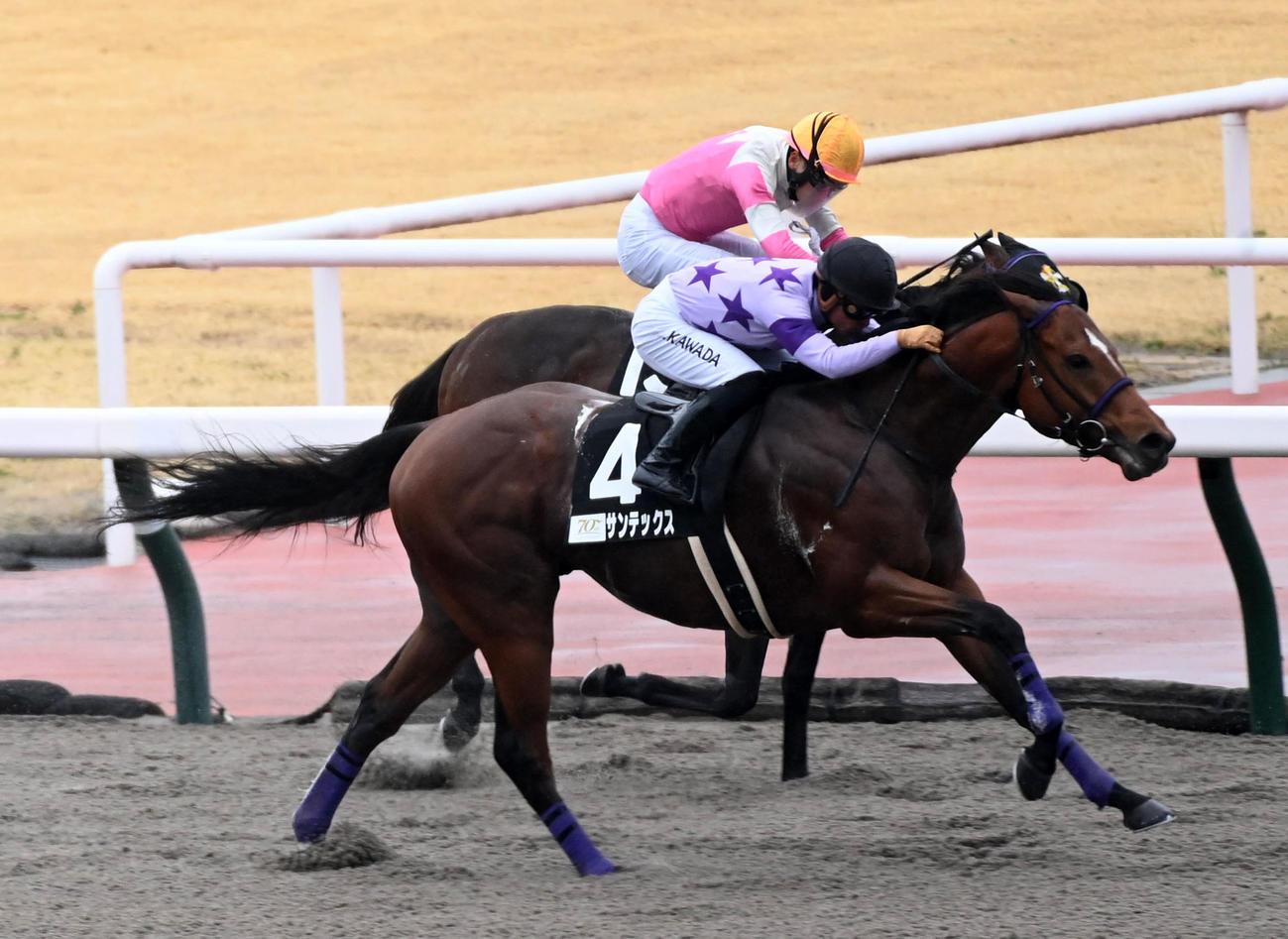 ロードカナロアCを制したサンテックスと川田騎手（撮影・前岡正明）