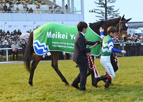 栗東便り】また見たい「チーム・メイケイエール」の再結成 - 競馬